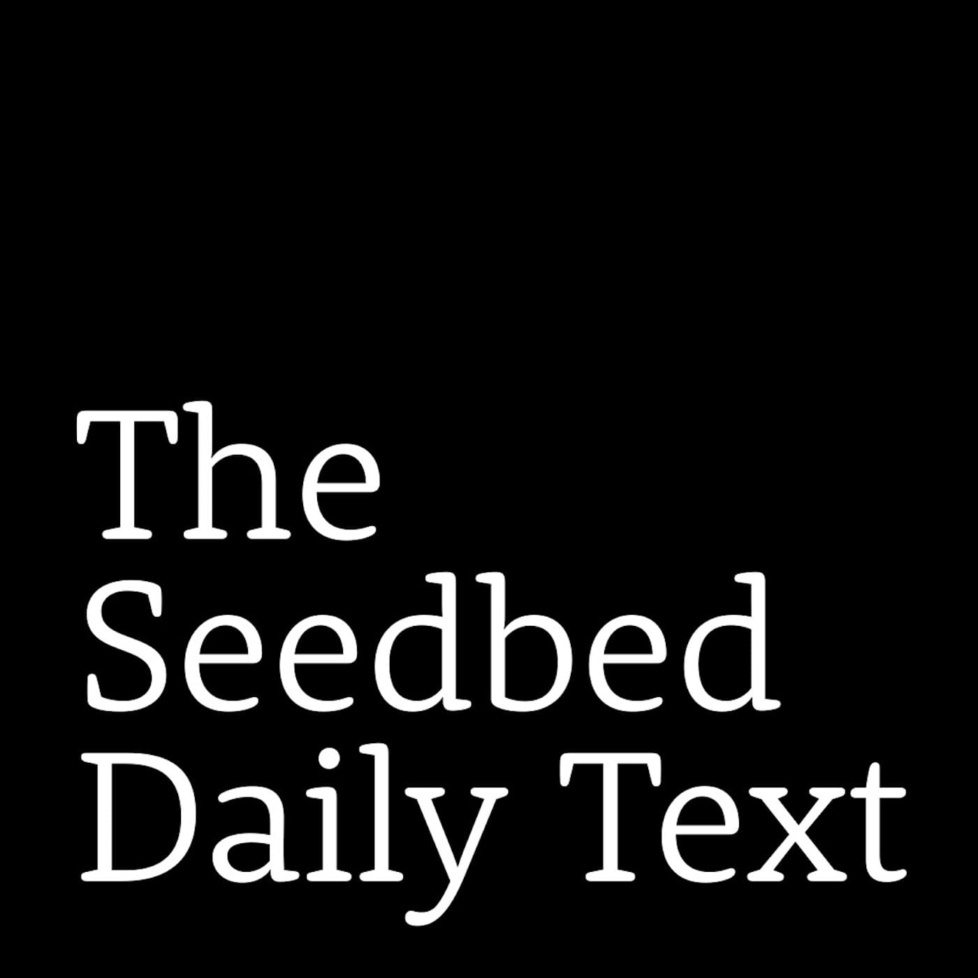 The Big Story - The Seedbed Daily Text cover