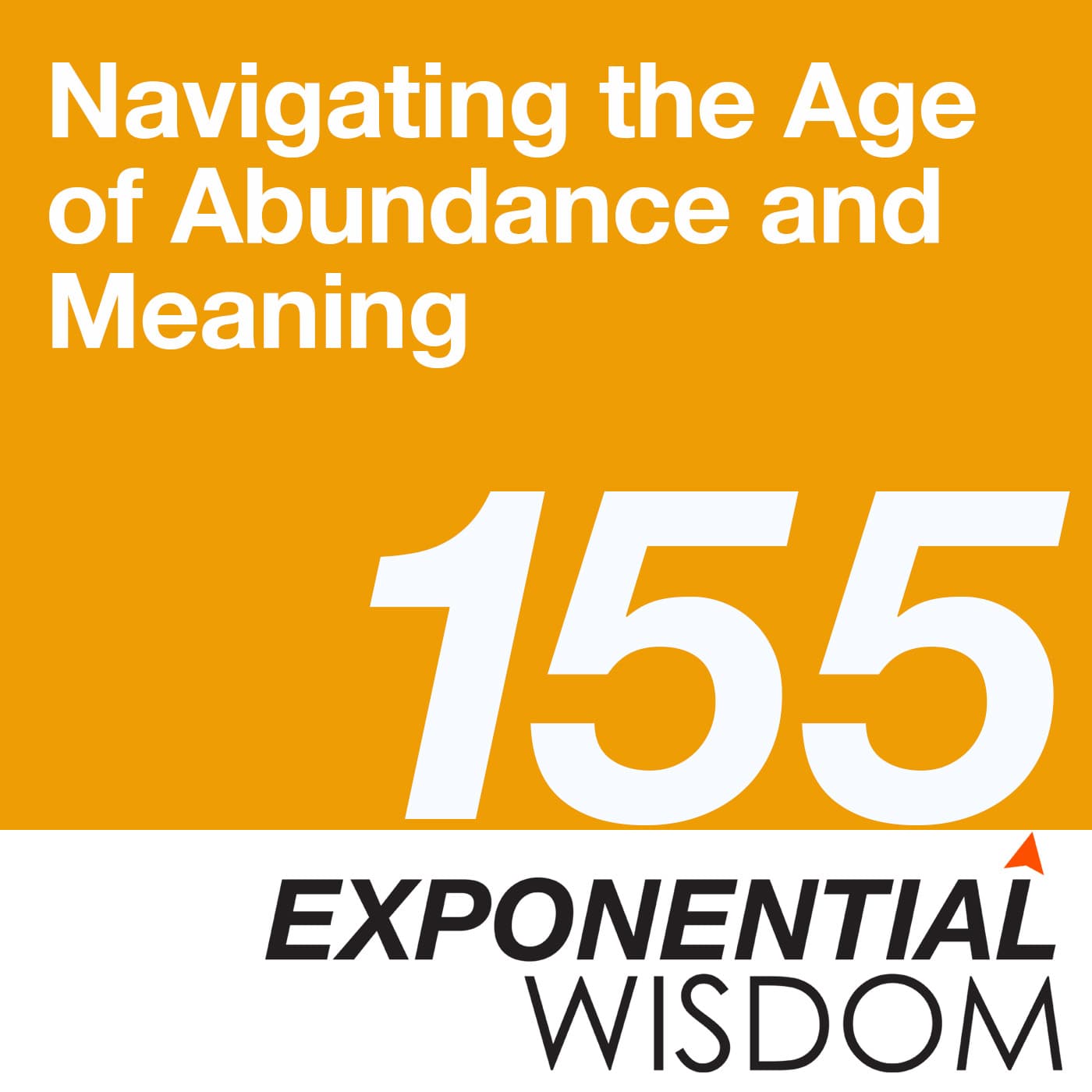 Episode 155: Navigating the Age of Abundance and Meaning - Exponential Wisdom cover