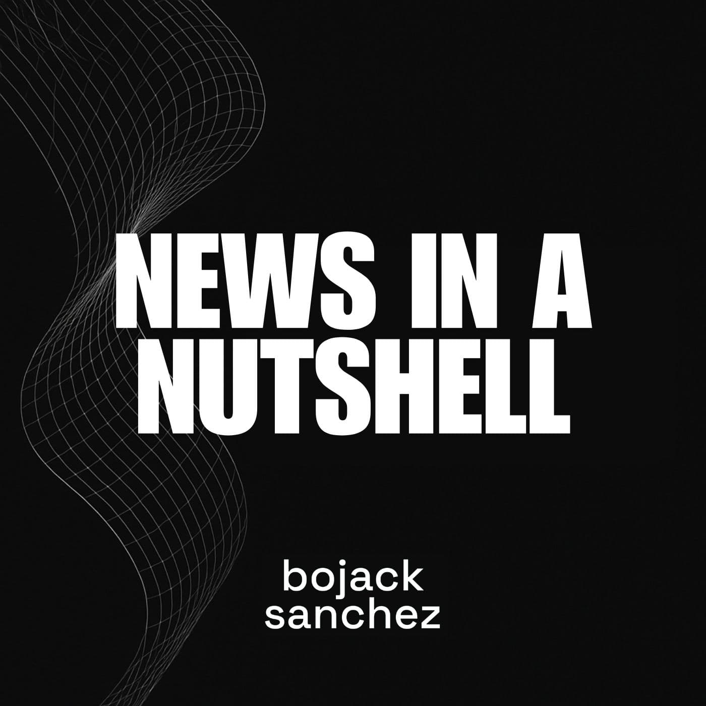 News in a Nutshell cover