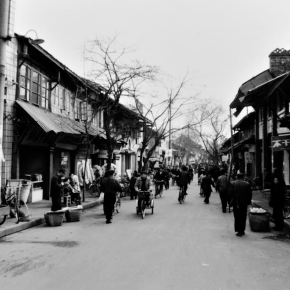 vol.183｜假装成被驯化为男性的女性 - 咸柠七 cover