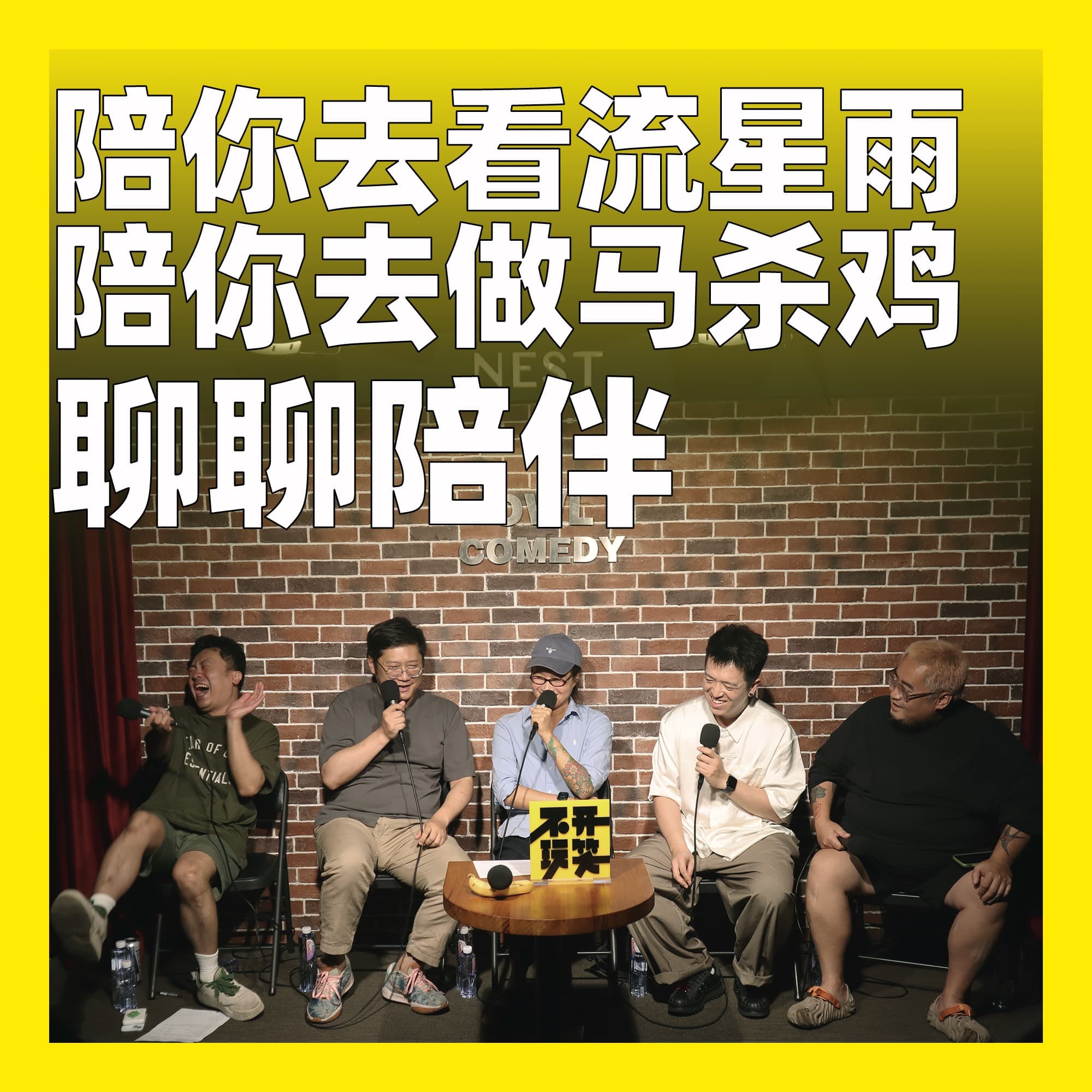 198.陪你去看流星雨，陪你去做马杀鸡：聊聊陪伴 - 不开玩笑 Jokes Aside cover