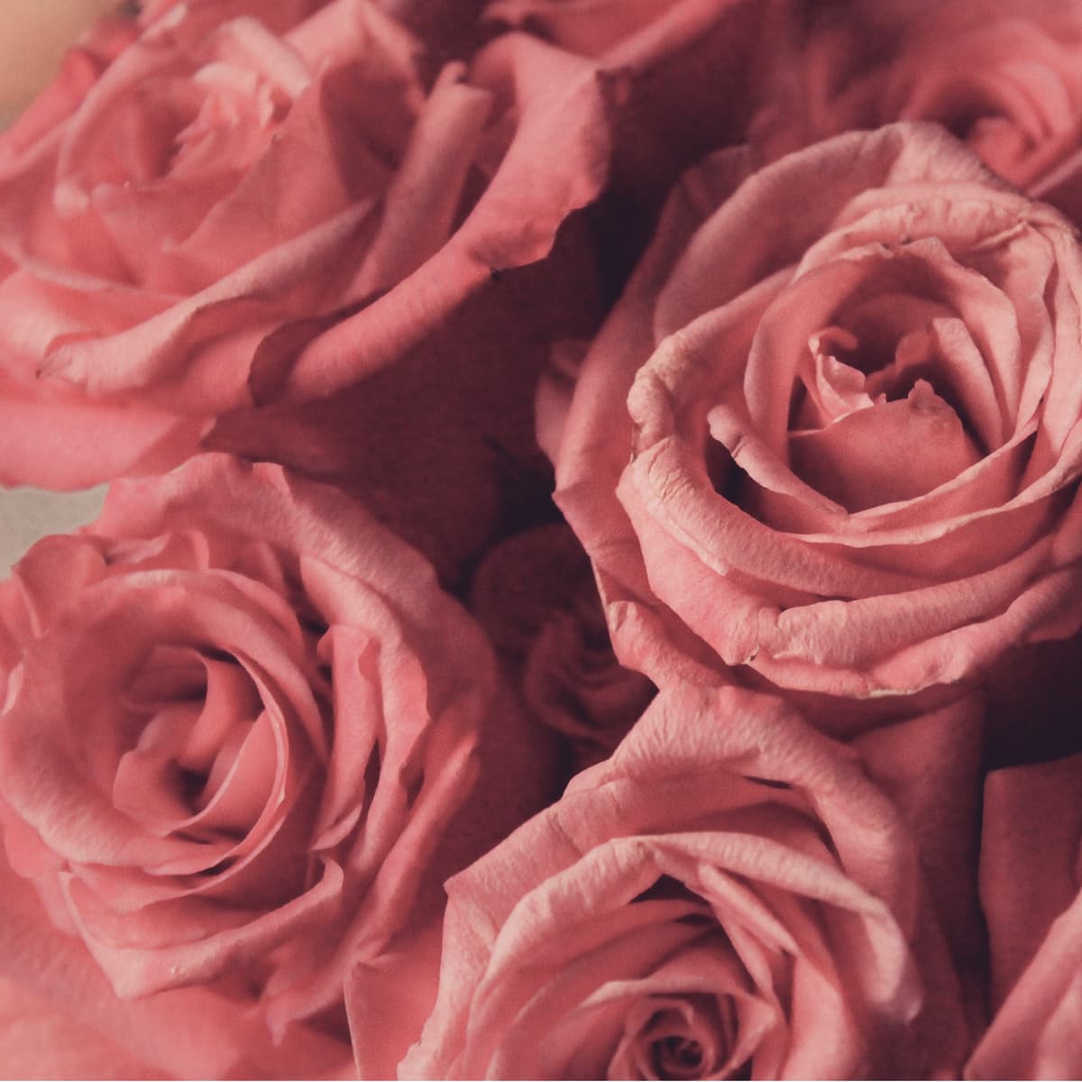 喜欢不应该是有条件的（心理学专业生聊儿童轻生 | 情绪认知 | 考证相关） - 矫情collection cover