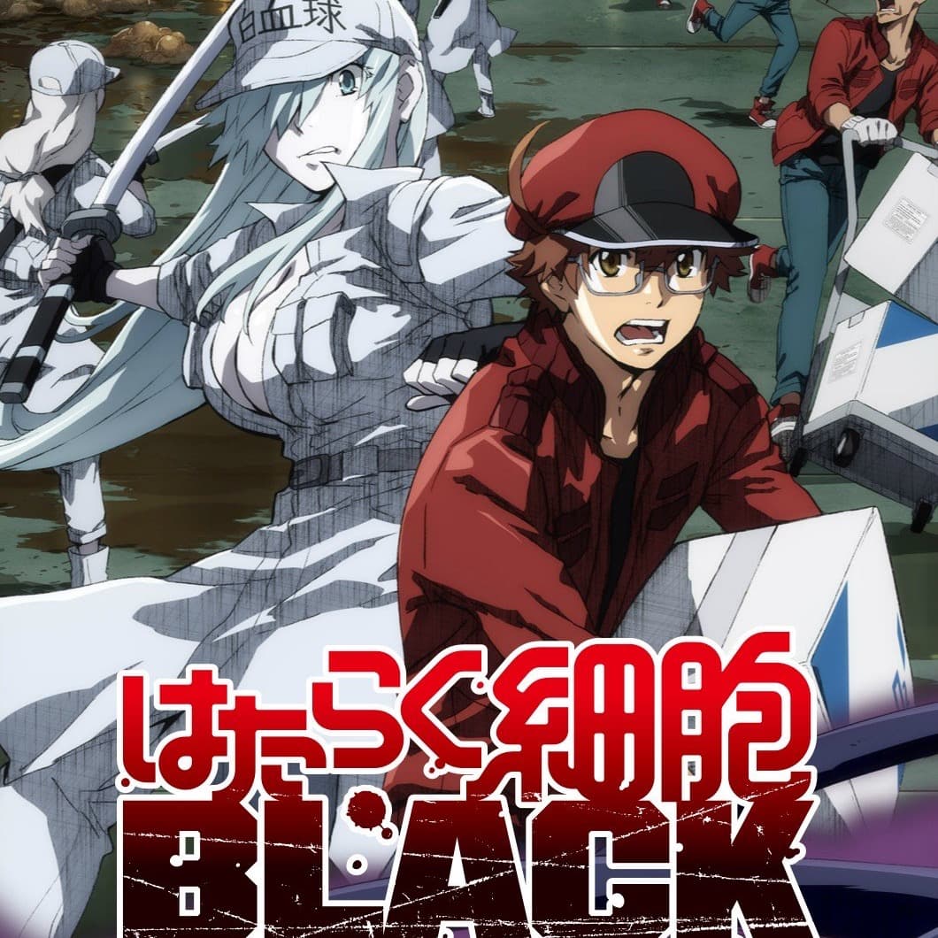 残血重播 |《工作细胞Black》黑心企业家竟是我自己？！ - 仙境之桥｜动漫影视游戏文化和欢乐的我们 cover