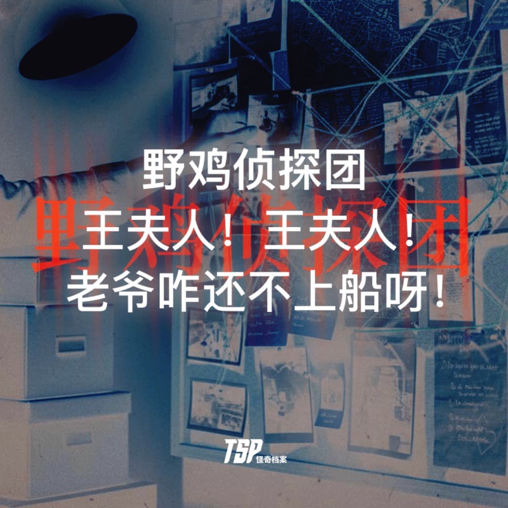野鸡侦探团：王夫人！王夫人！老爷咋还不上船呀！ - TSP怪奇档案 cover
