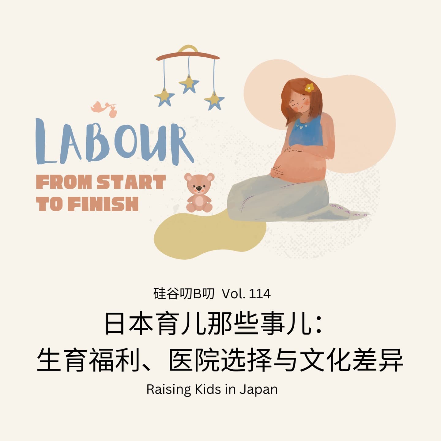 Vol. 114 日本育儿那些事儿：生育福利、医院选择与文化差异 - 硅谷叨B叨 cover