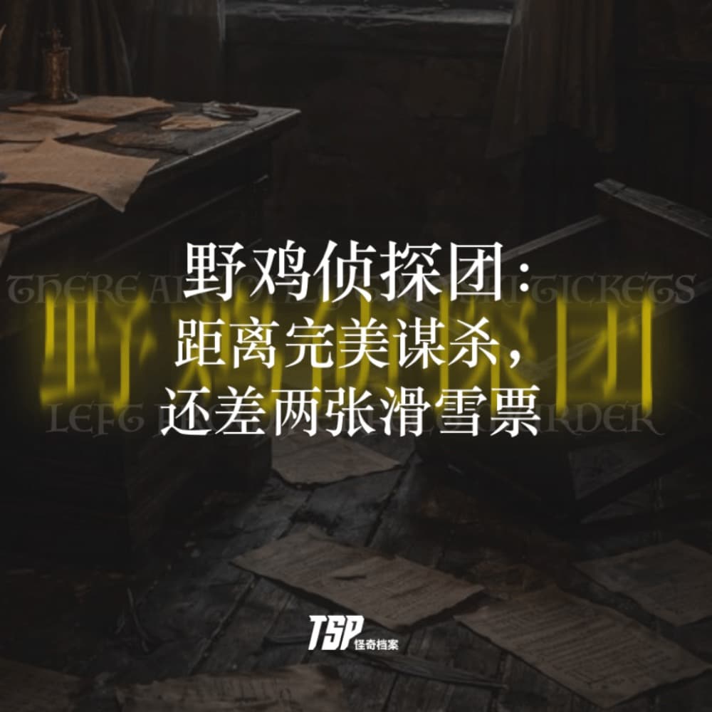 野鸡侦探团：距离完美谋杀，还差两张滑雪票 - TSP怪奇档案 cover