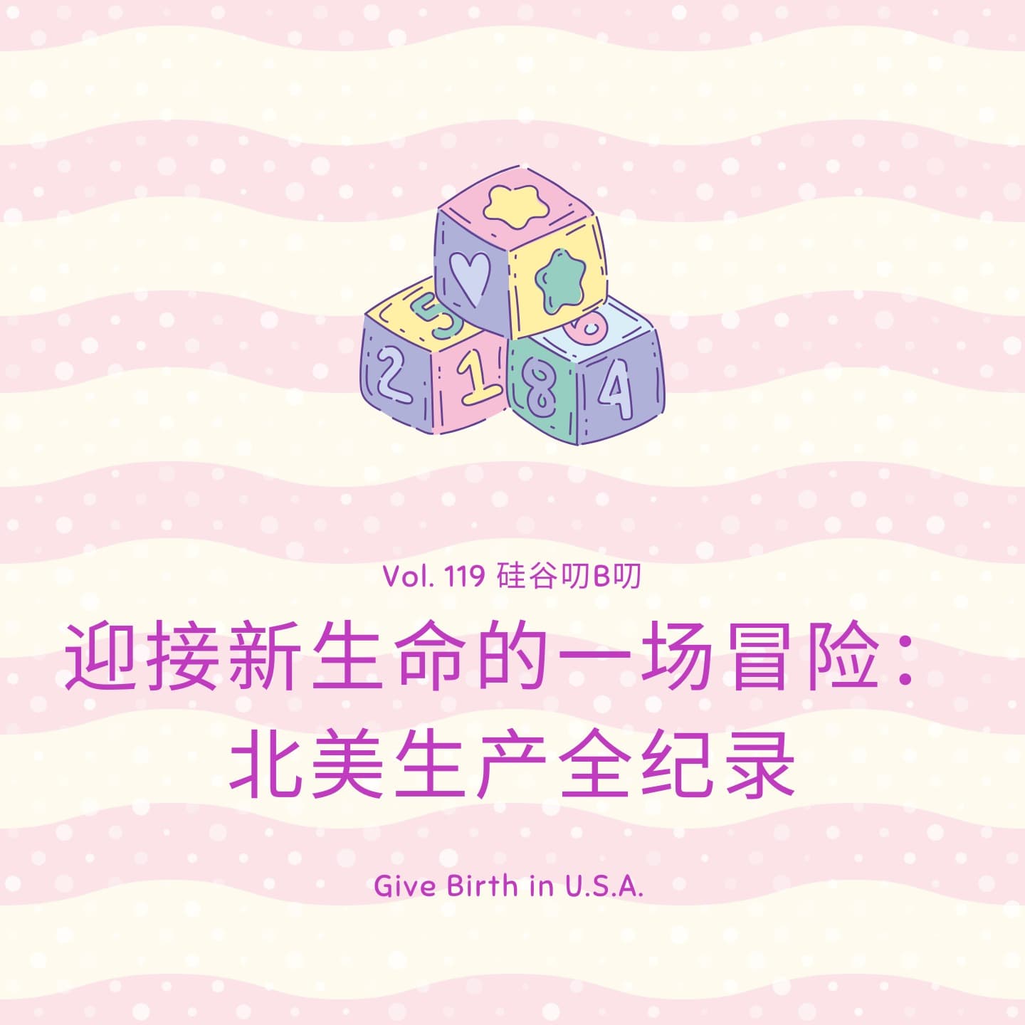 Vol. 119 迎接新生命的一场冒险：北美生产全纪录 - 硅谷叨B叨 cover