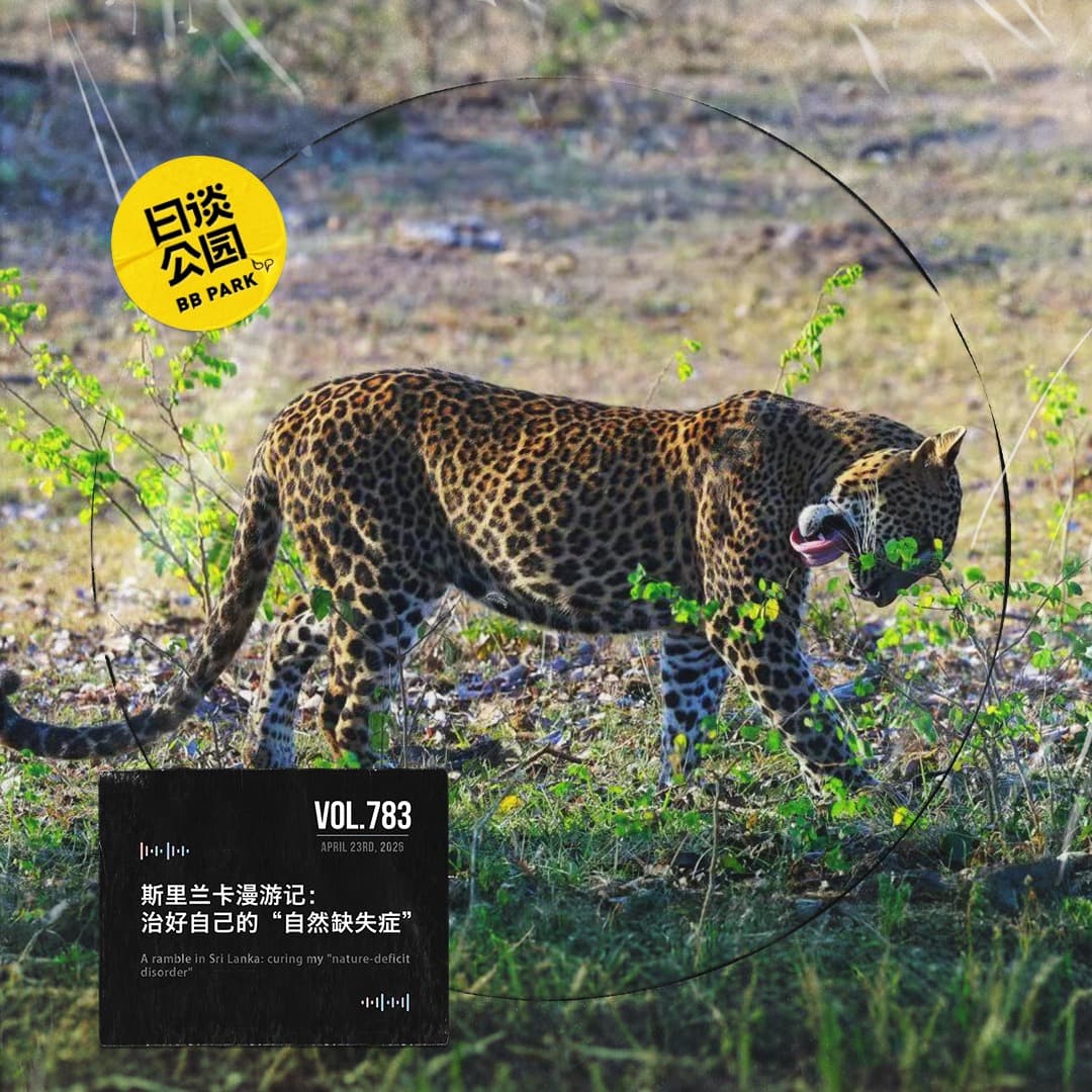 vol.783 斯里兰卡漫游记：治好自己的“自然缺失症” - 日谈公园 cover