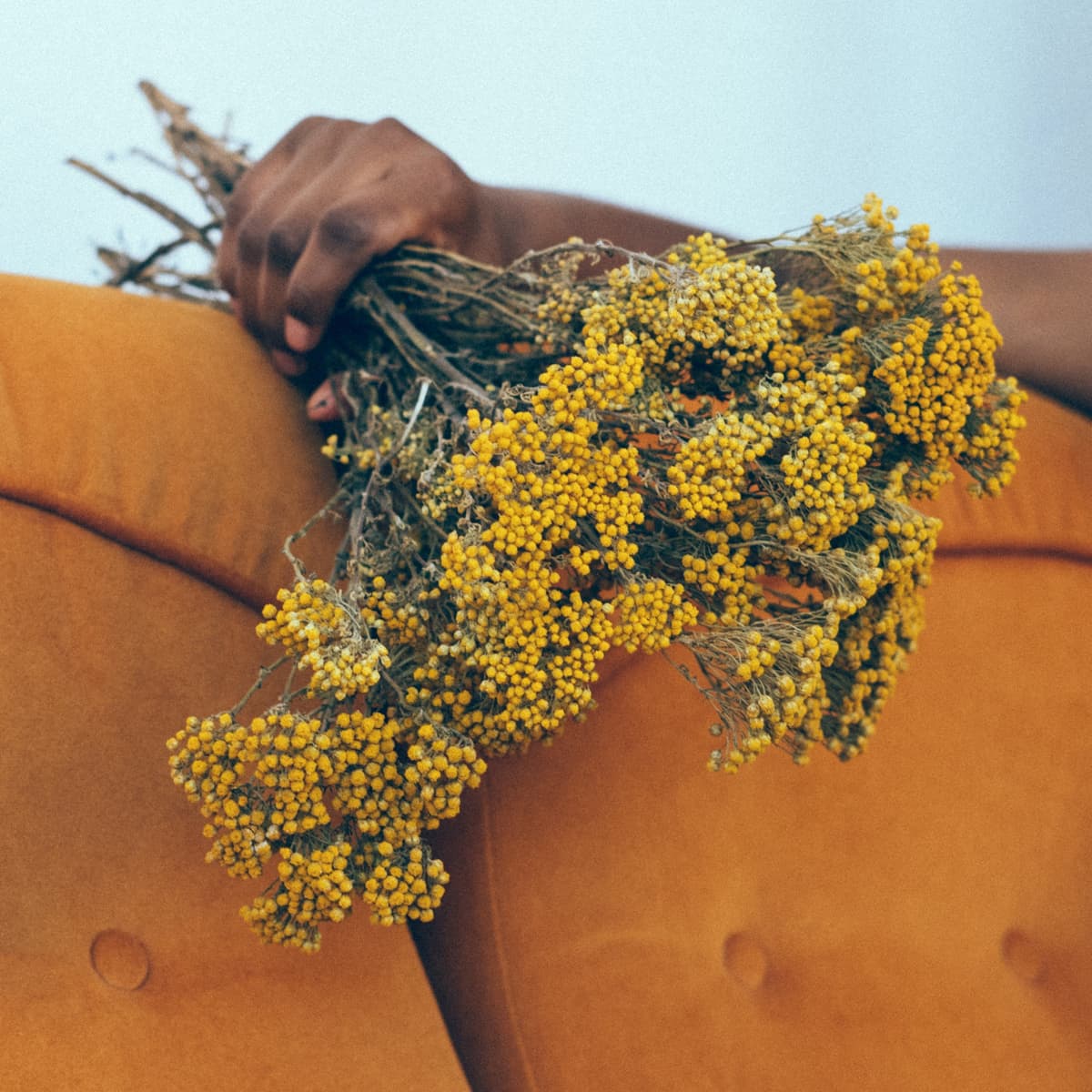 约会二三事-其二 | 软件是个好产品 - 矫情collection cover