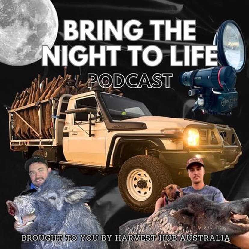 BRING THE NIGHT TO LIFE cover
