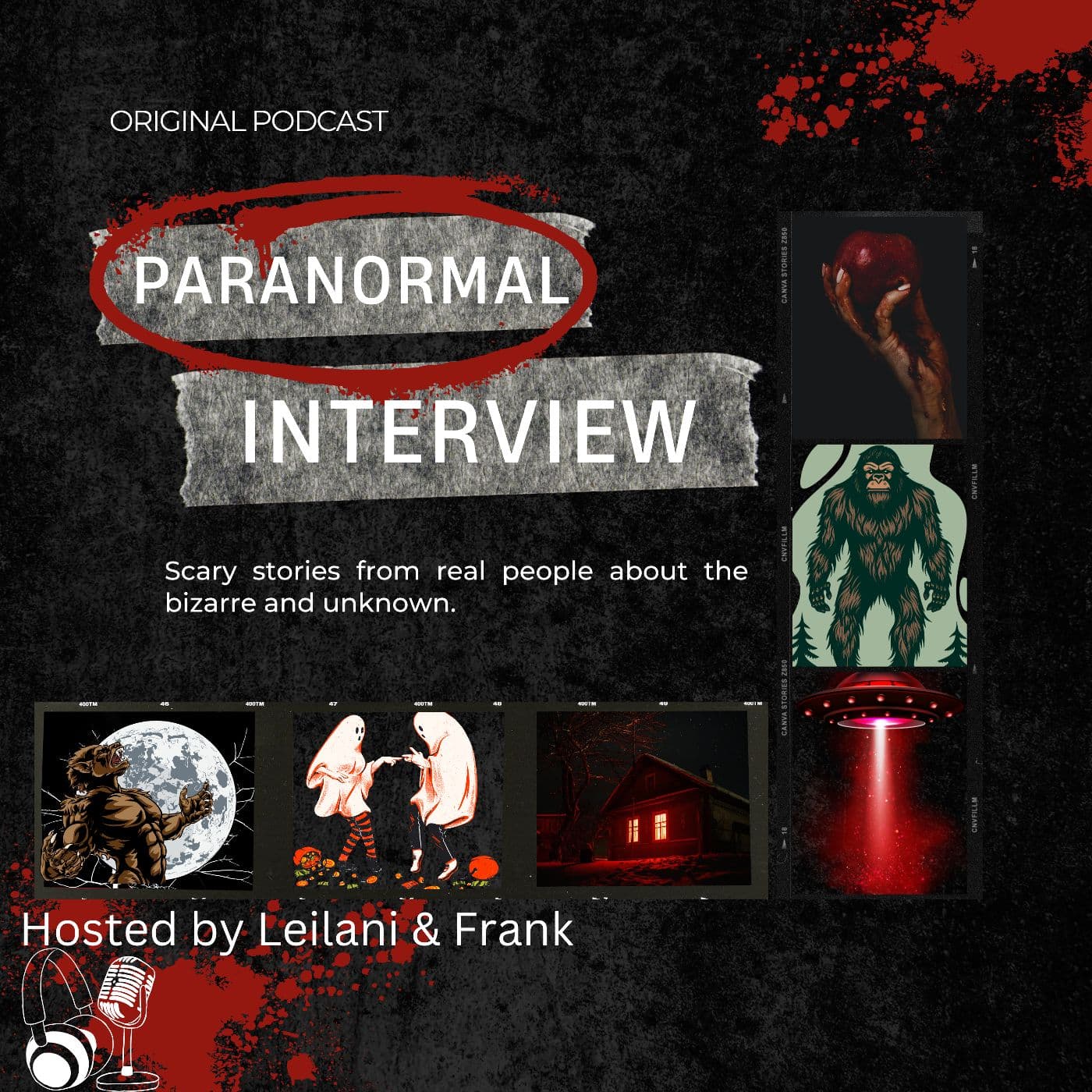 Paranormal Interview cover