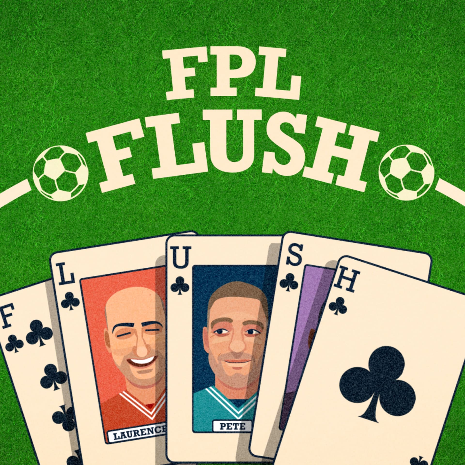 More Flags than the G20 Summit - FPL Flush cover