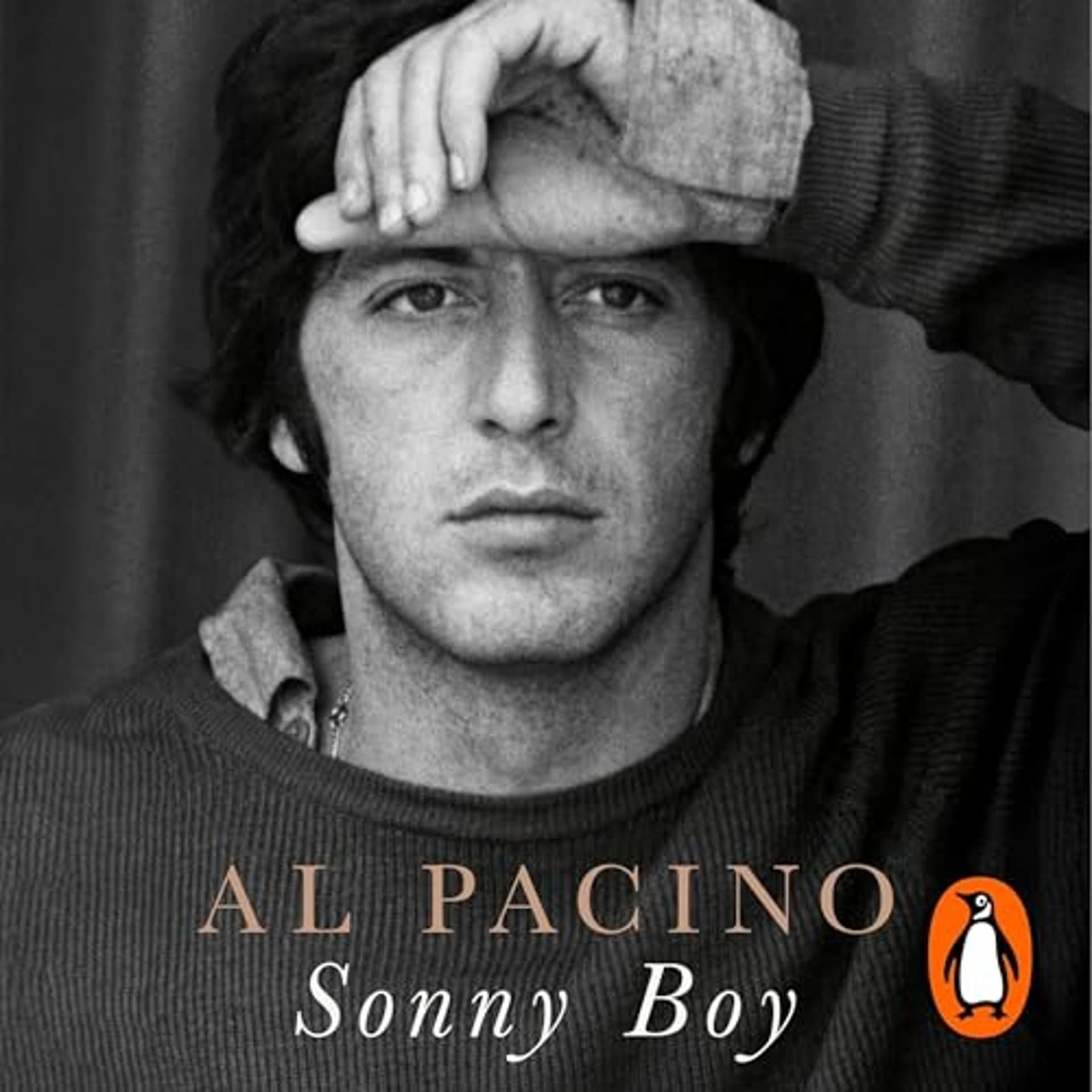 AI Reviews Audiobooks Sonny Boy - AI Reviews cover