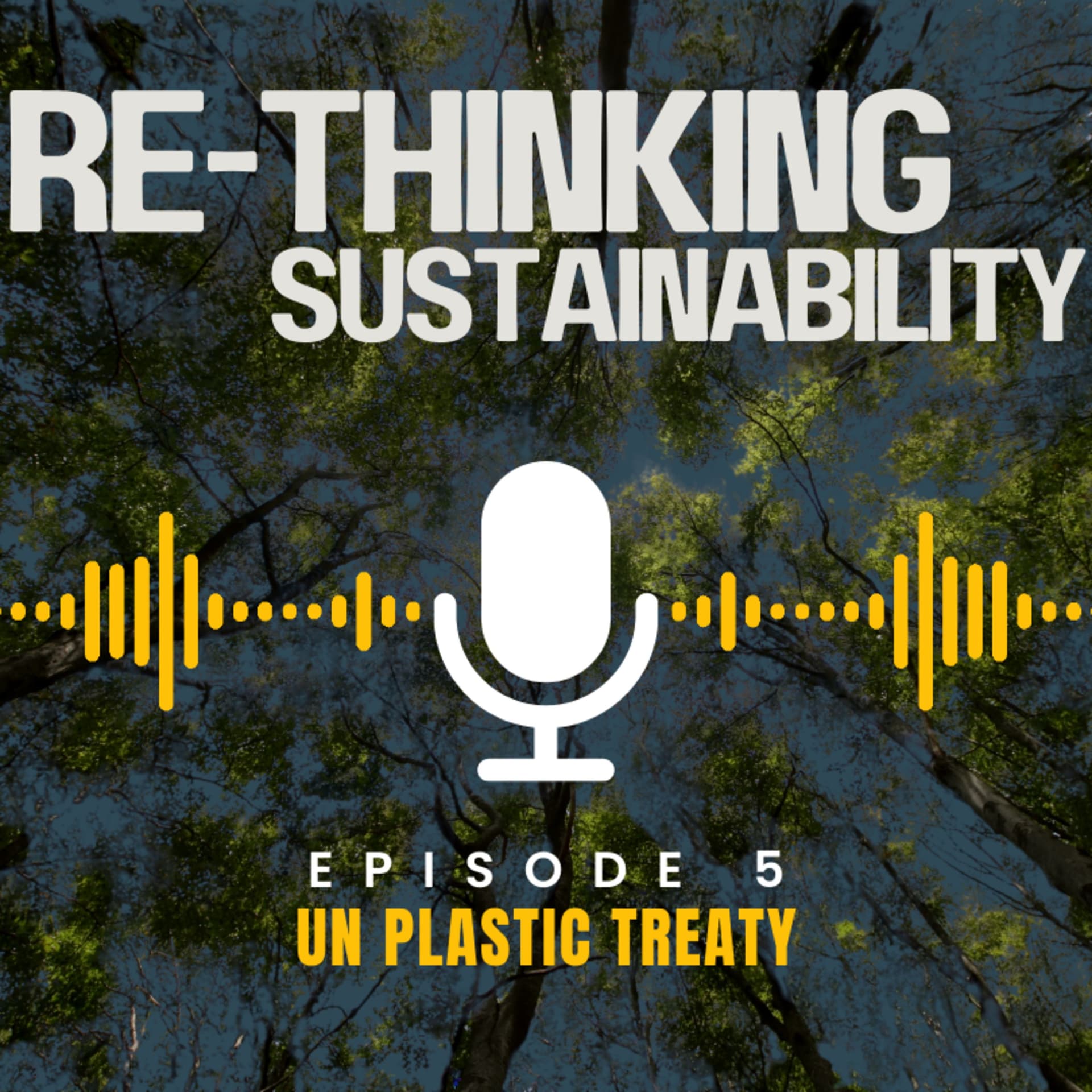 Episode 5: “UN Plastic Treaty” - ReThinking Sustainability cover