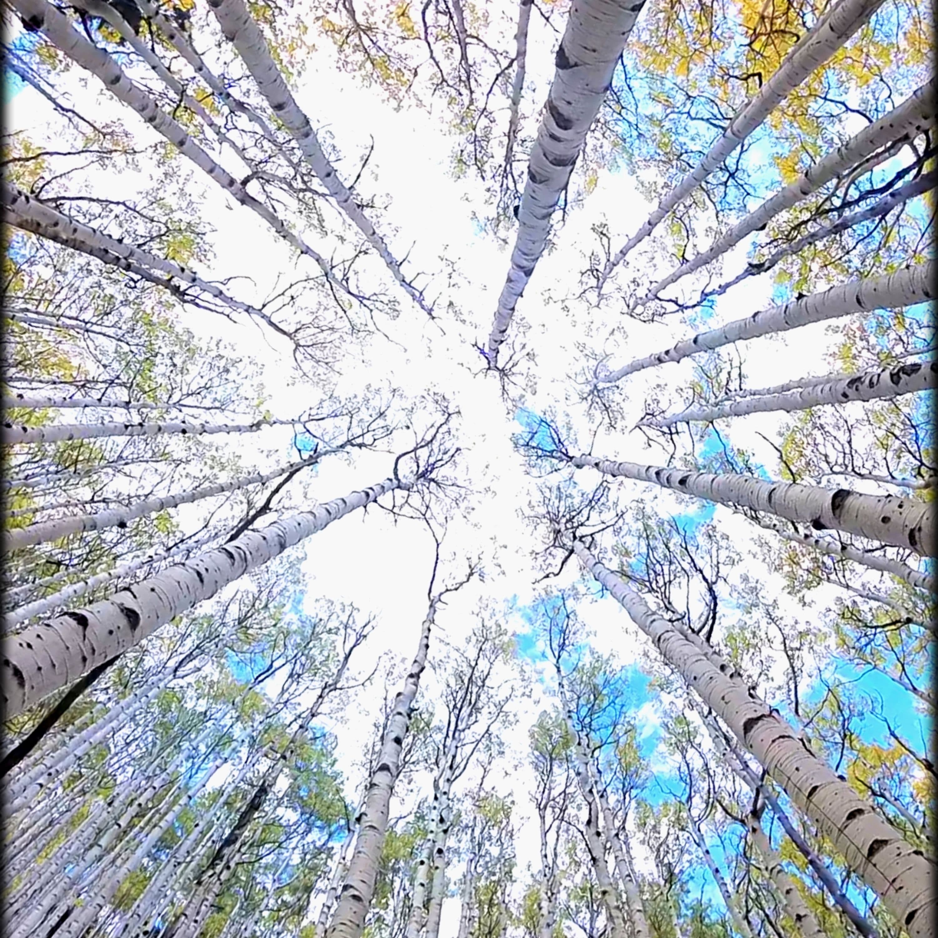 Seasons... - Mindset Through Motion cover