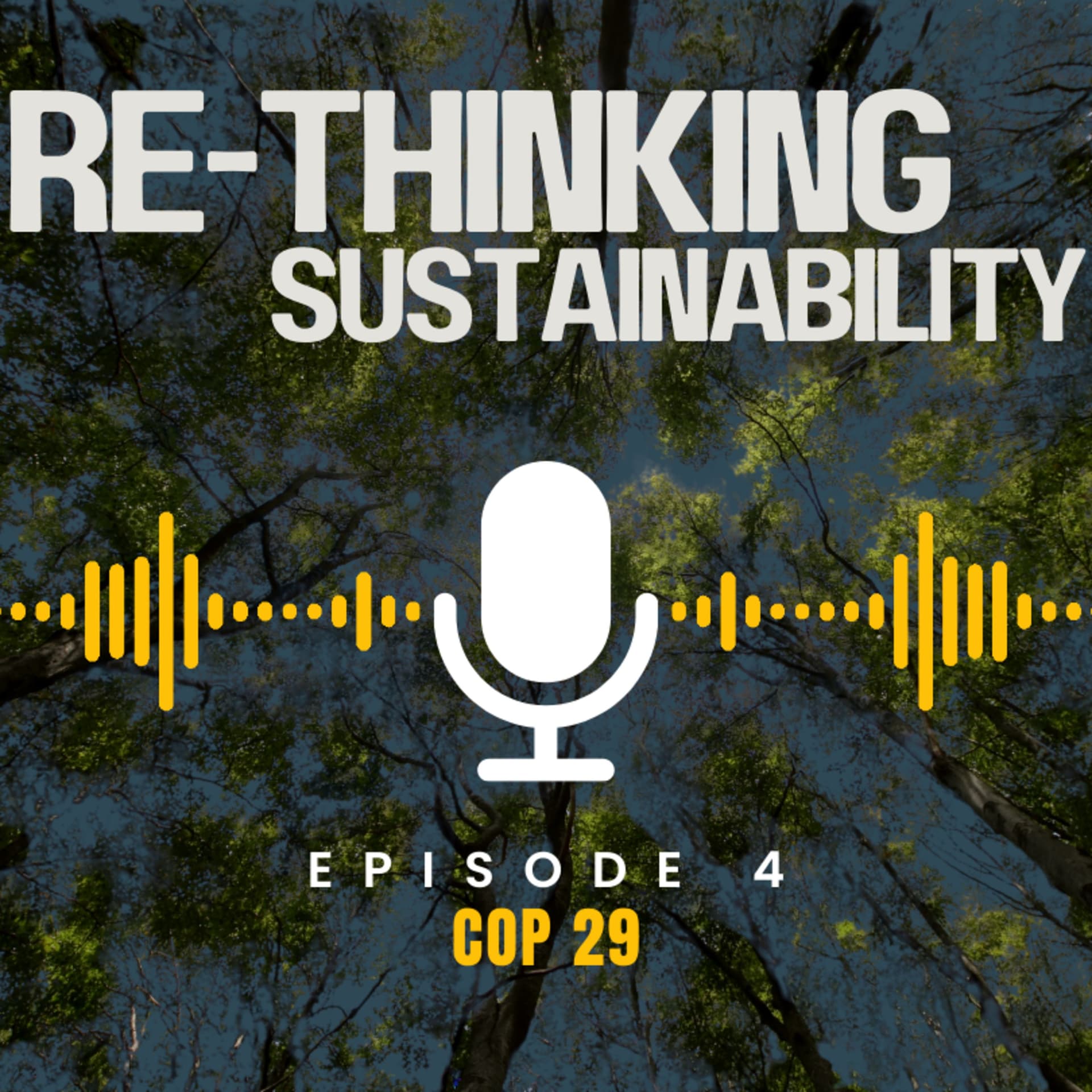 Episode 4 : COP 29 - ReThinking Sustainability cover