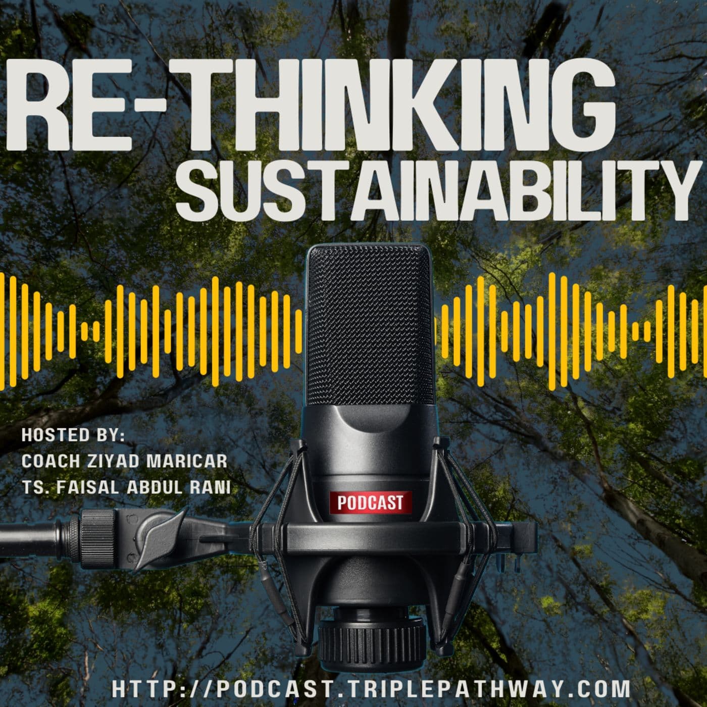 ReThinking Sustainability cover