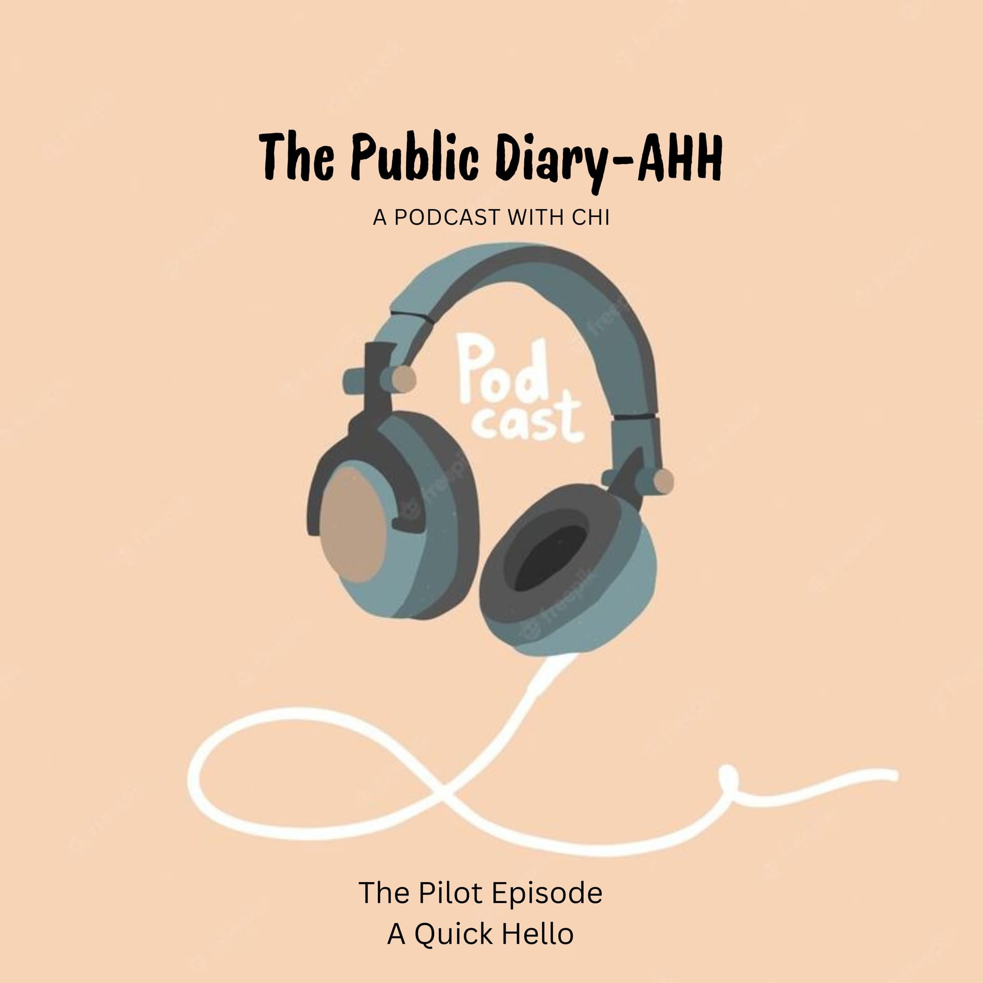 The Pilot - The Public Diary-AHHH cover