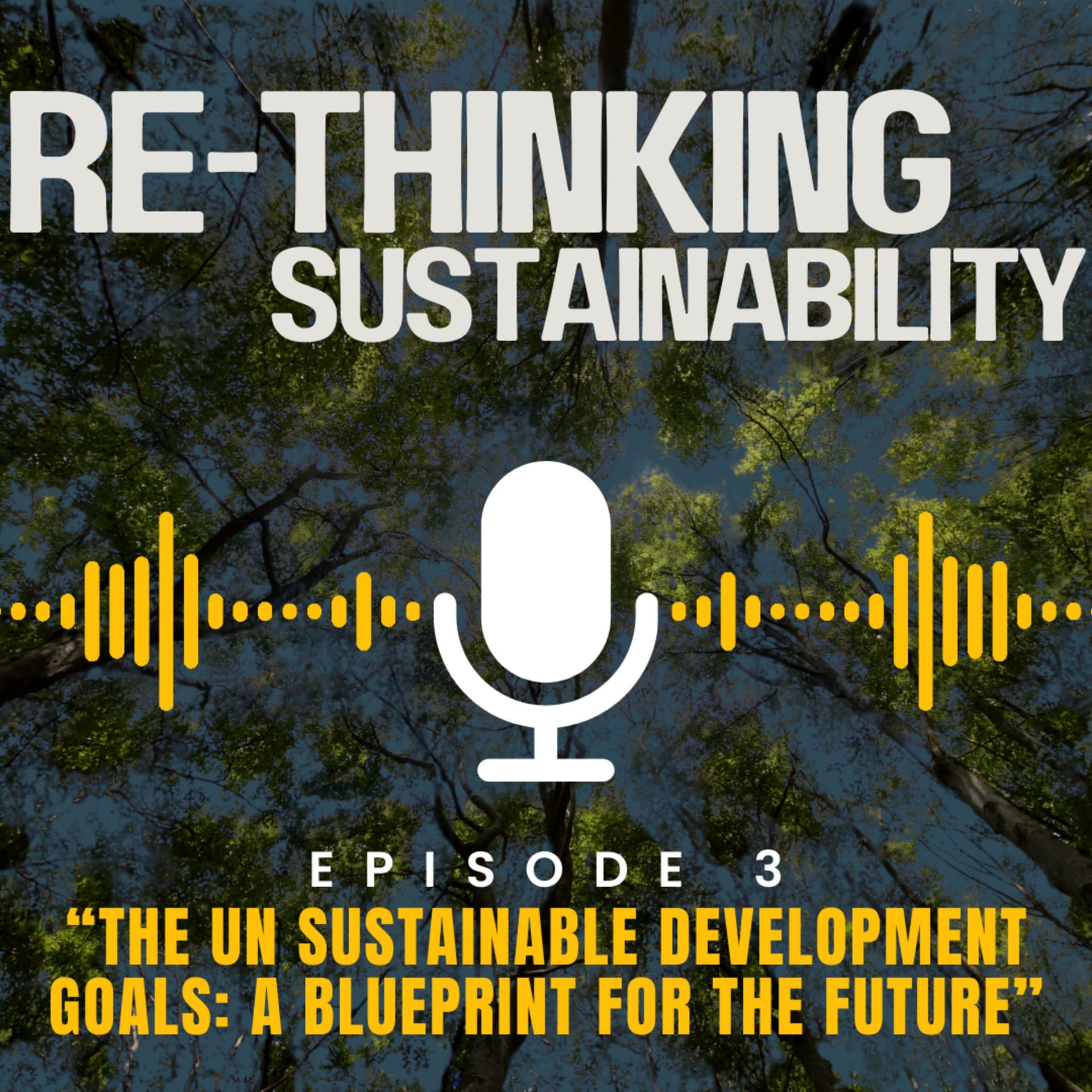 Episode 3: “The UN Sustainable Development Goals: A Blueprint for the Future” - ReThinking Sustainability cover