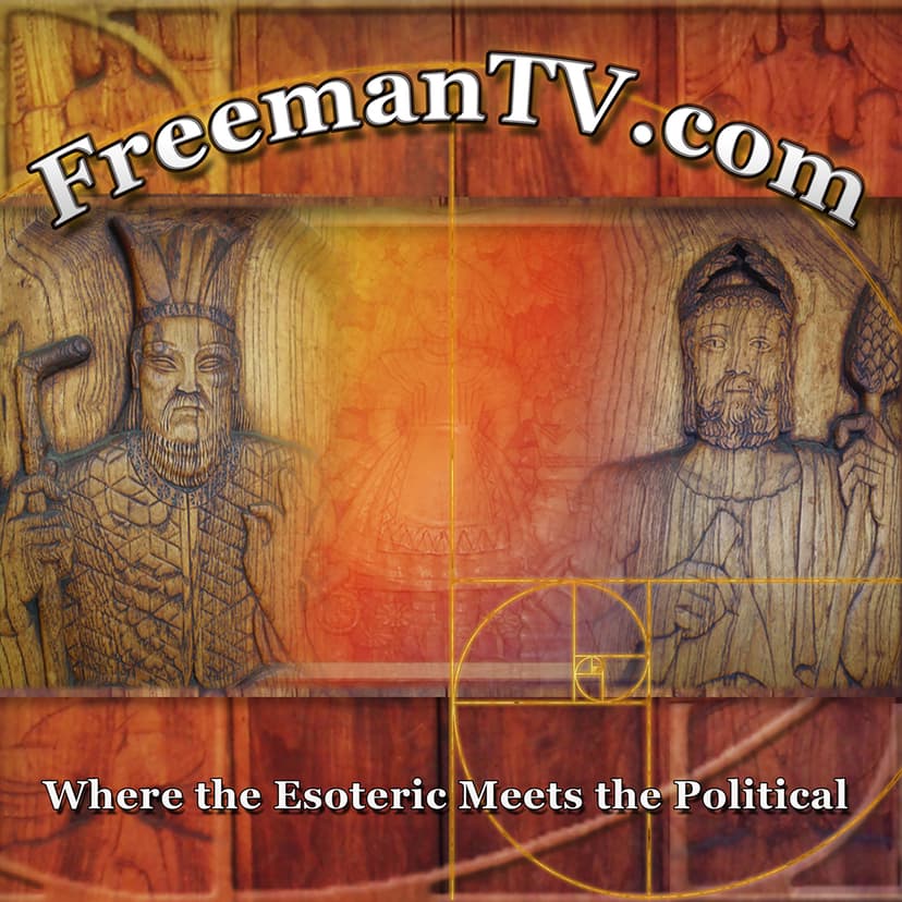 The Free Zone w/ Freeman Fly cover