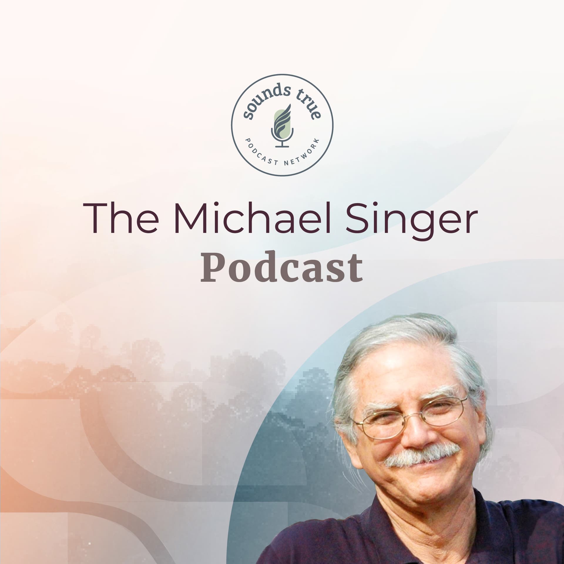 Michael Singer Podcast cover
