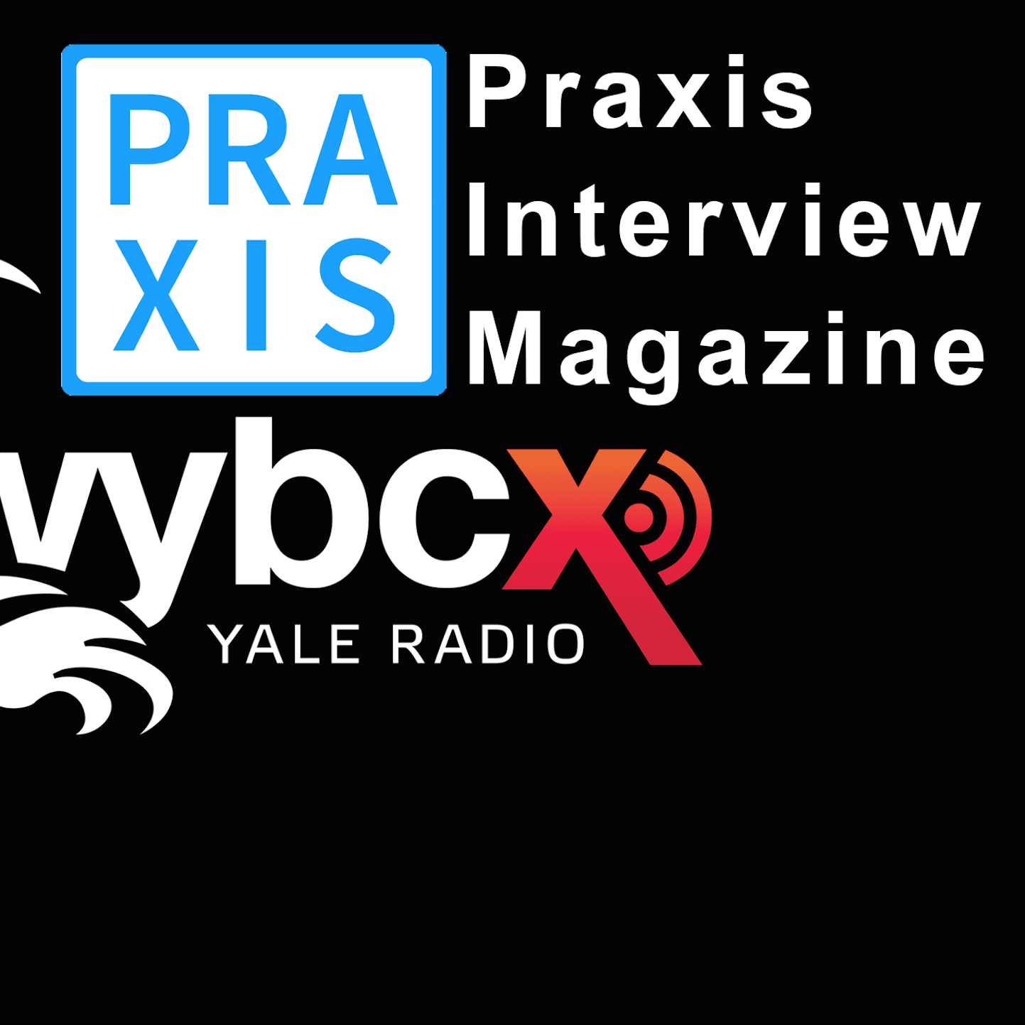 Interviews by Brainard Carey cover