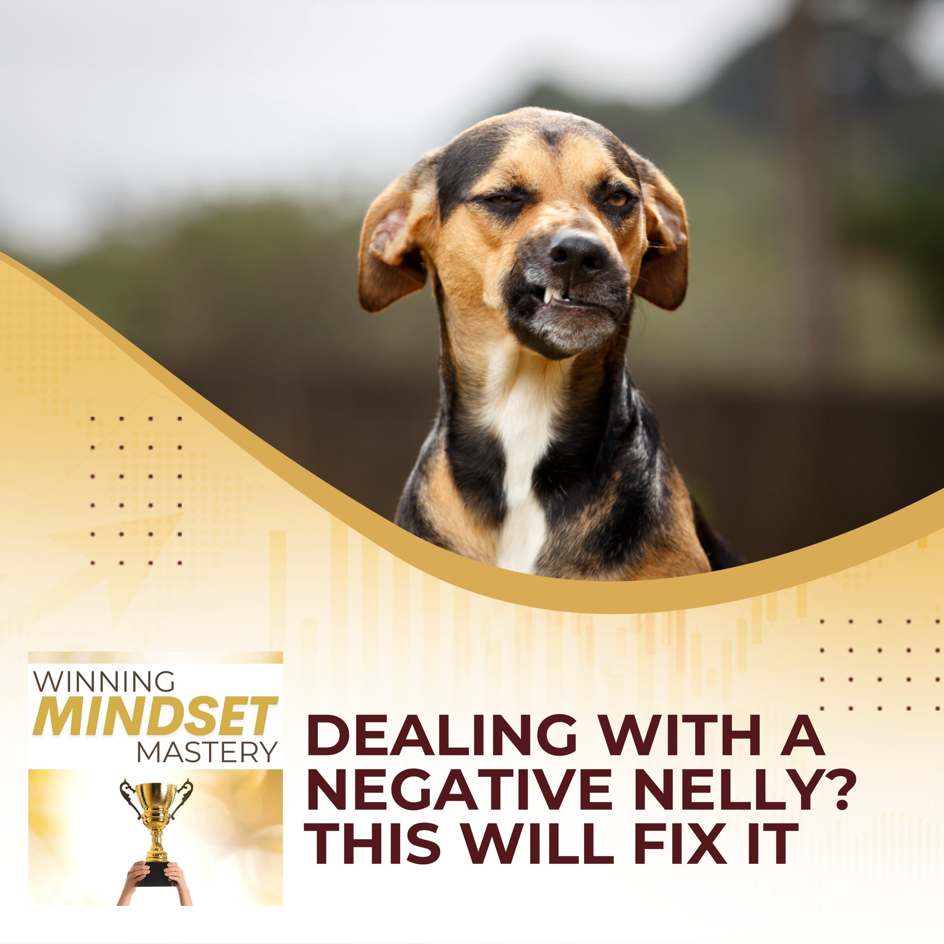 Dealing With A Negative Nelly? This Will Fix It. - Winning Mindset Mastery cover