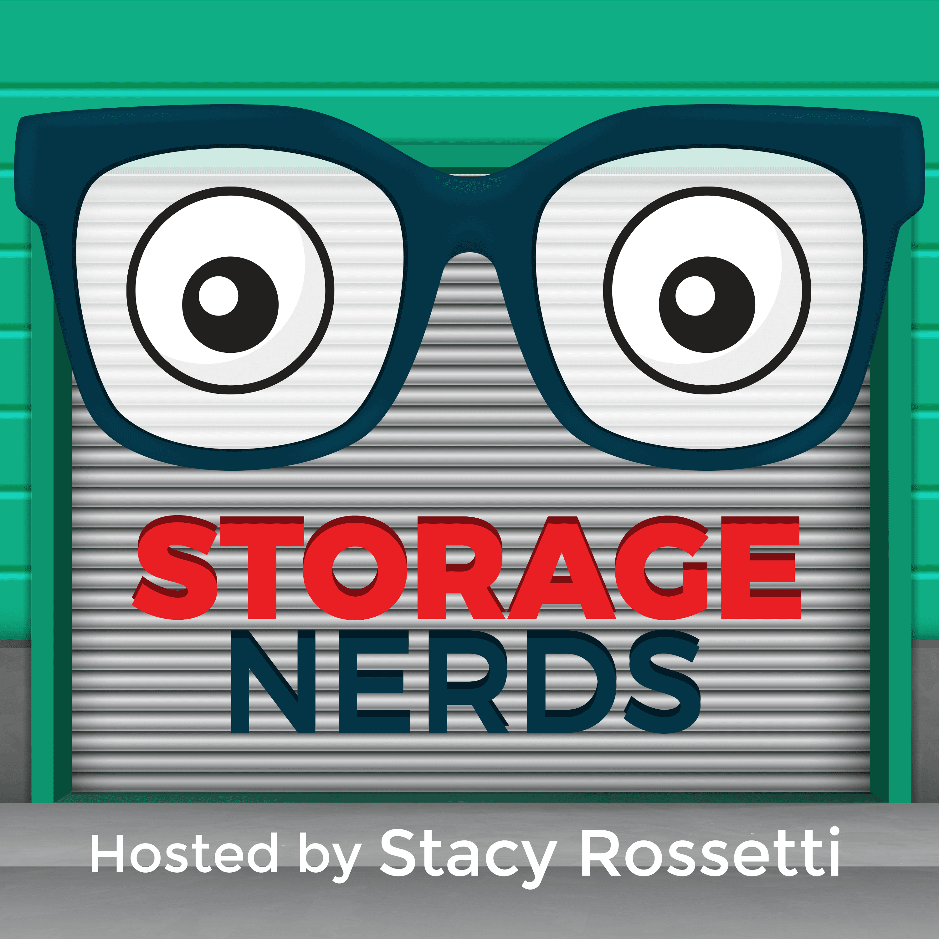 Storage Nerds cover