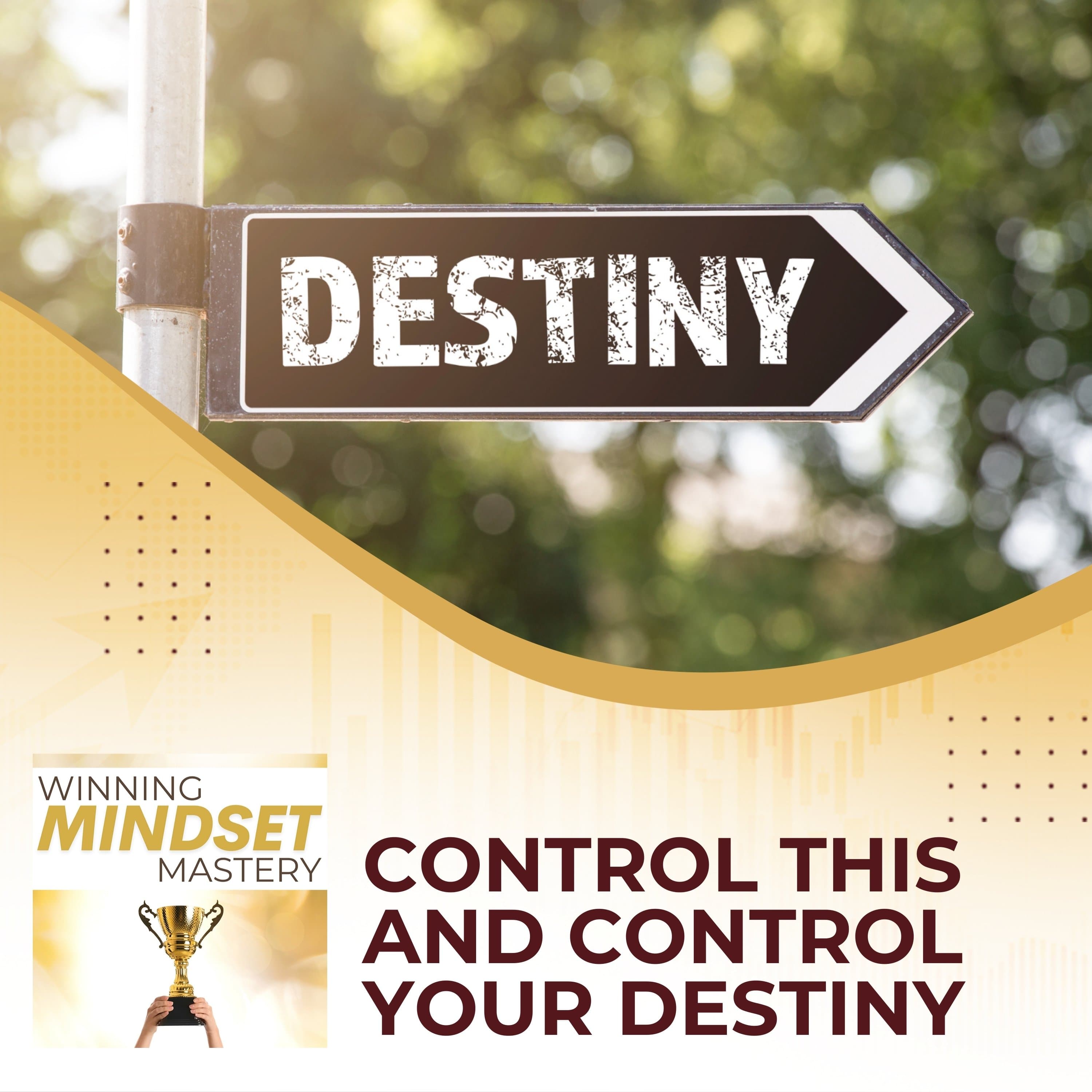 Control This And Control Your Destiny - Winning Mindset Mastery cover