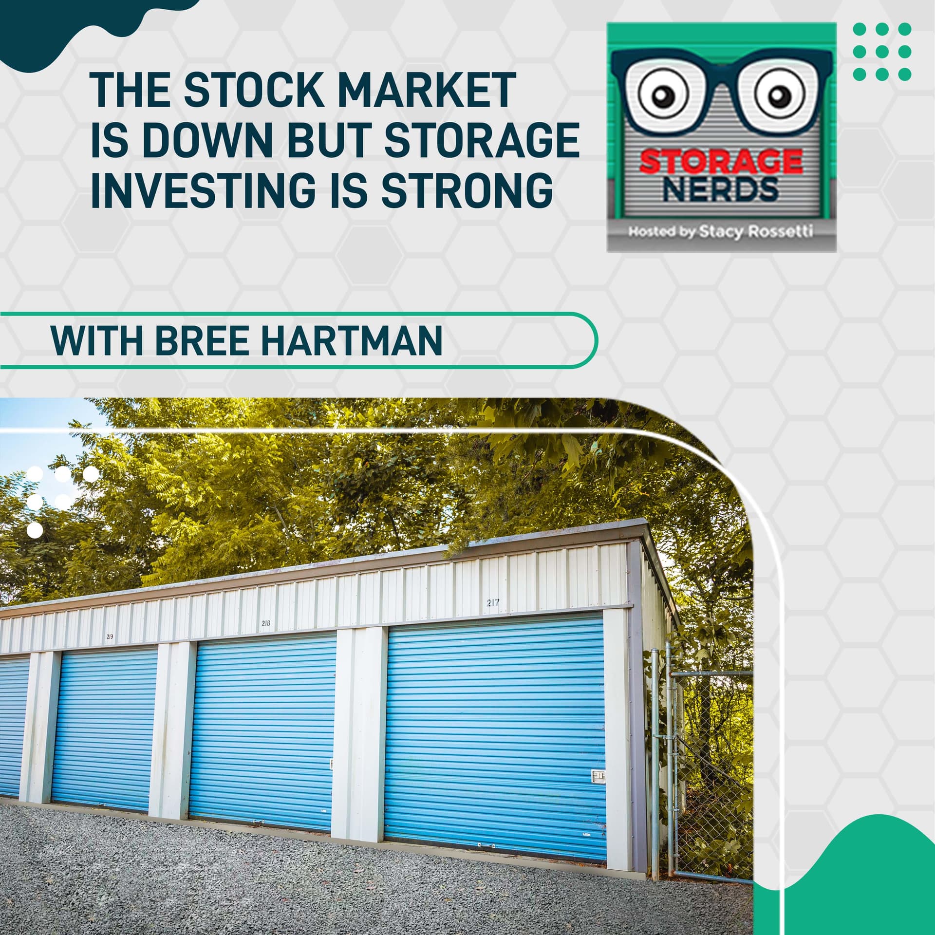 The Stock Market Is Down But Storage Investing Is Strong With Bree Hartman - Storage Nerds cover