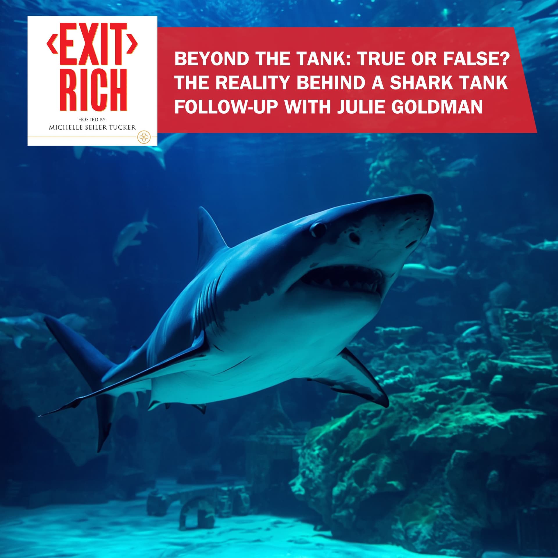 Beyond The Tank: True Or False? The Reality Behind A Shark Tank Follow-Up With Julie Goldman - Exit Rich cover