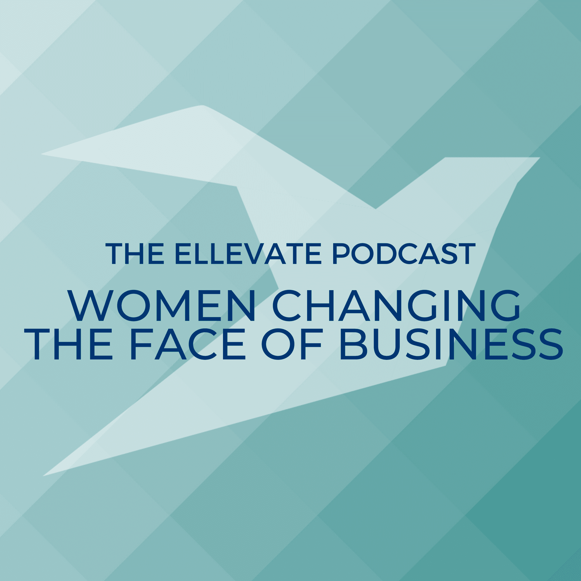 Ellevate Network: Conversations With Women Changing the Face of Business cover