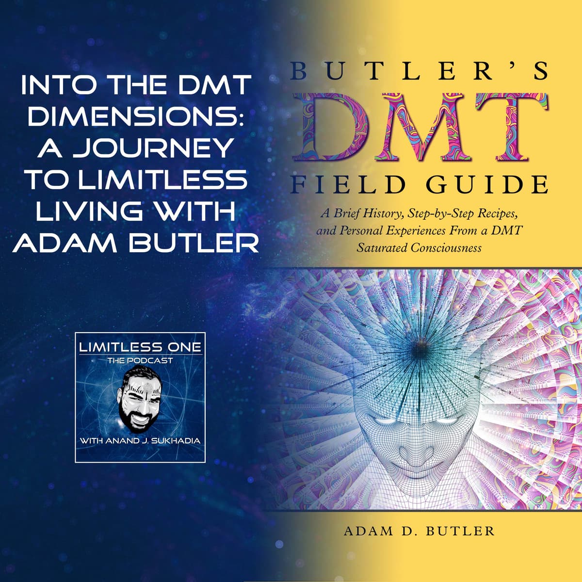 Into The DMT Dimensions: A Journey To Limitless Living With Adam Butler - LIMITLESS ONE cover