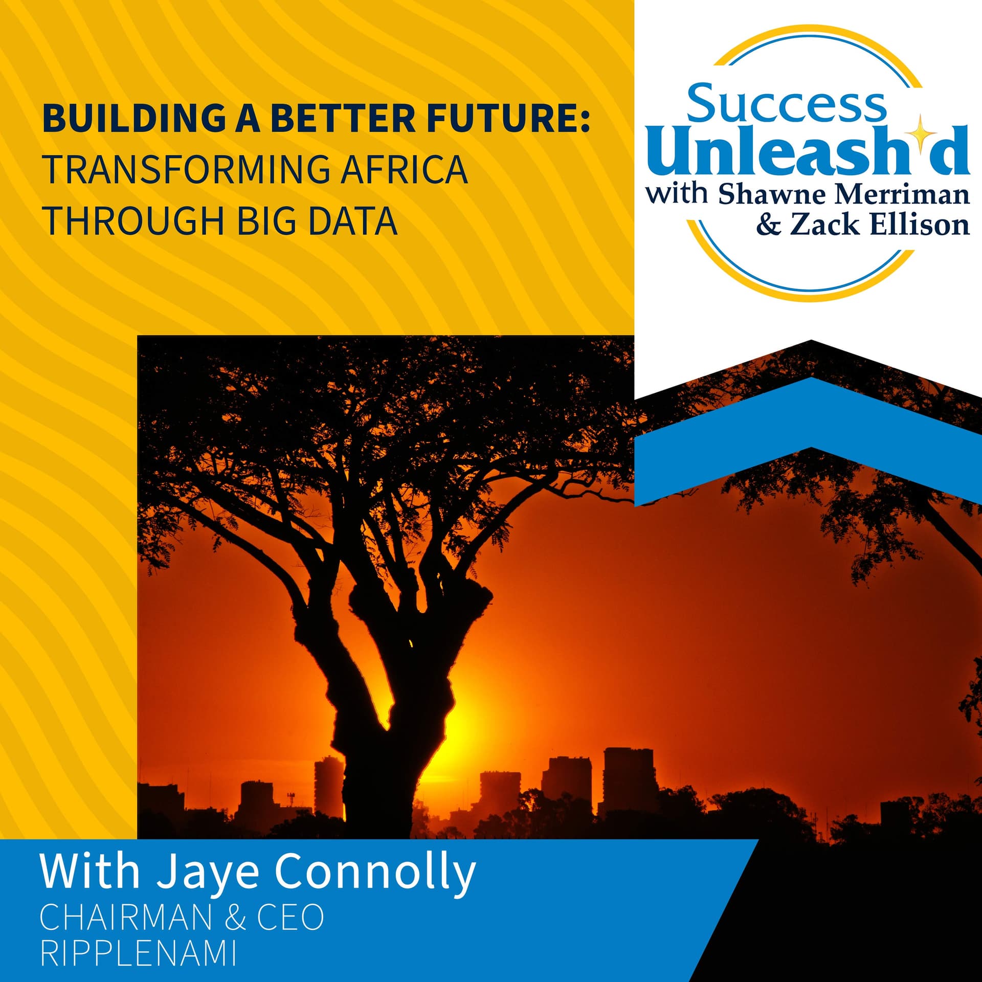 Building A Better Future: Transforming Africa Through Big Data With Jaye Connolly - Success Unleash'd cover