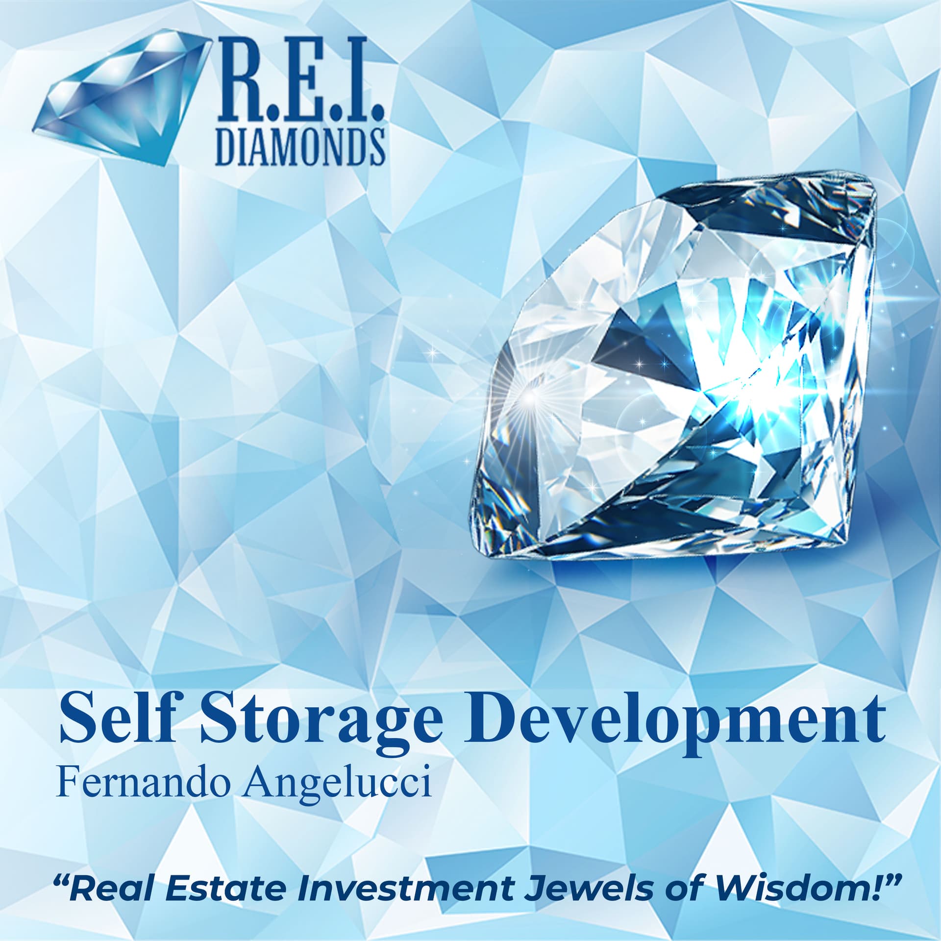 Self Storage Development With Fernando Angelucci — The REI Diamonds Show-Real Estate Investment Podcast cover