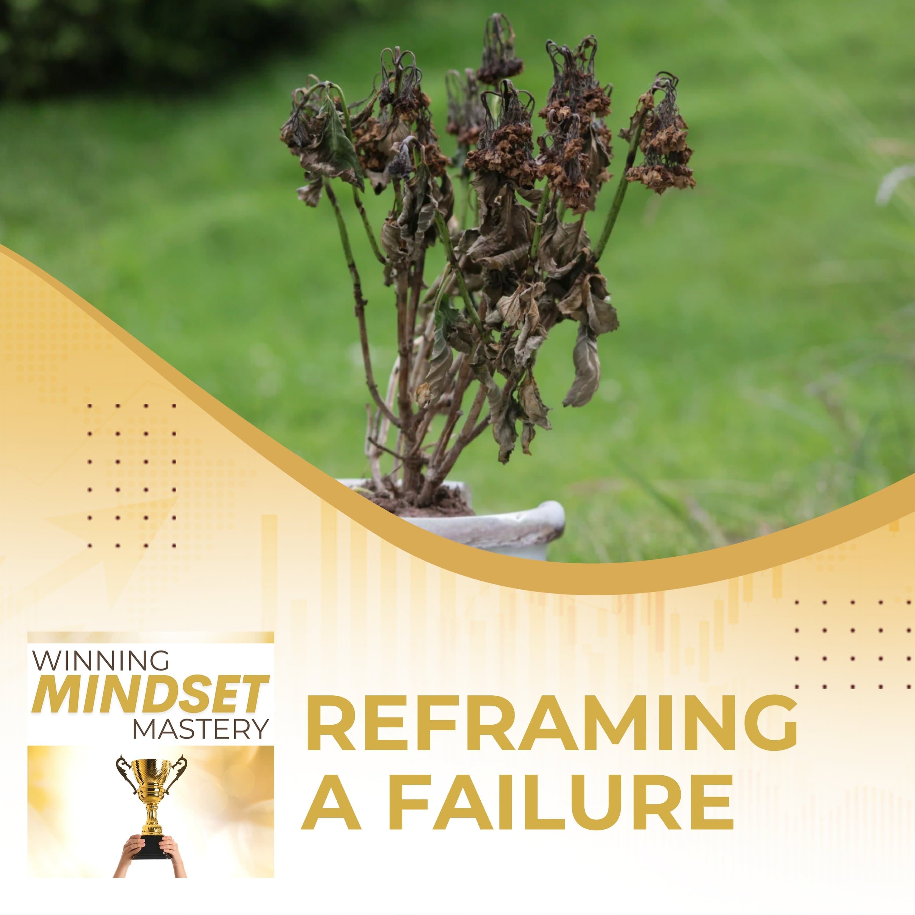 Reframing A Failure - Winning Mindset Mastery cover