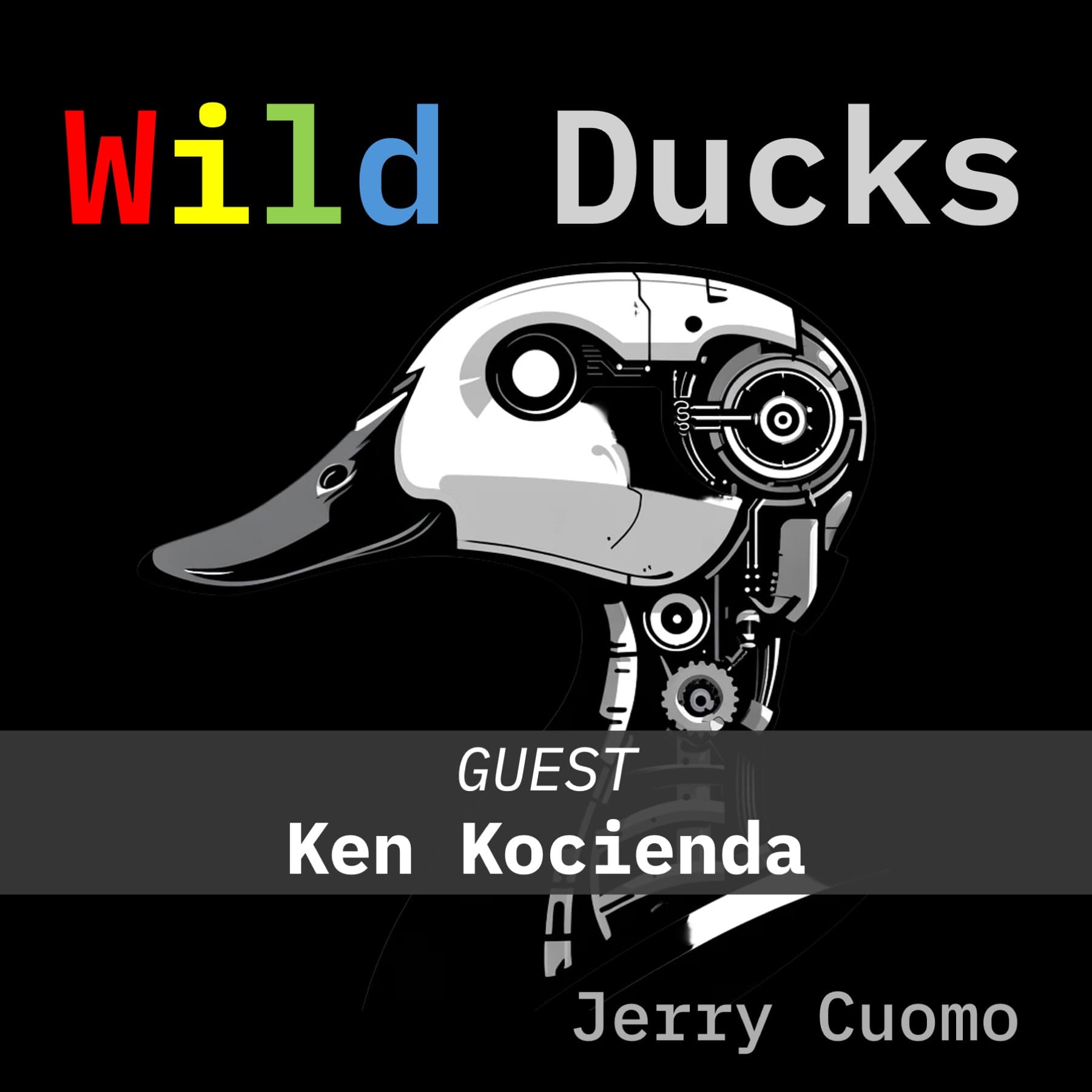 The Man Behind Autocorrect - Part Two - Wild Ducks cover