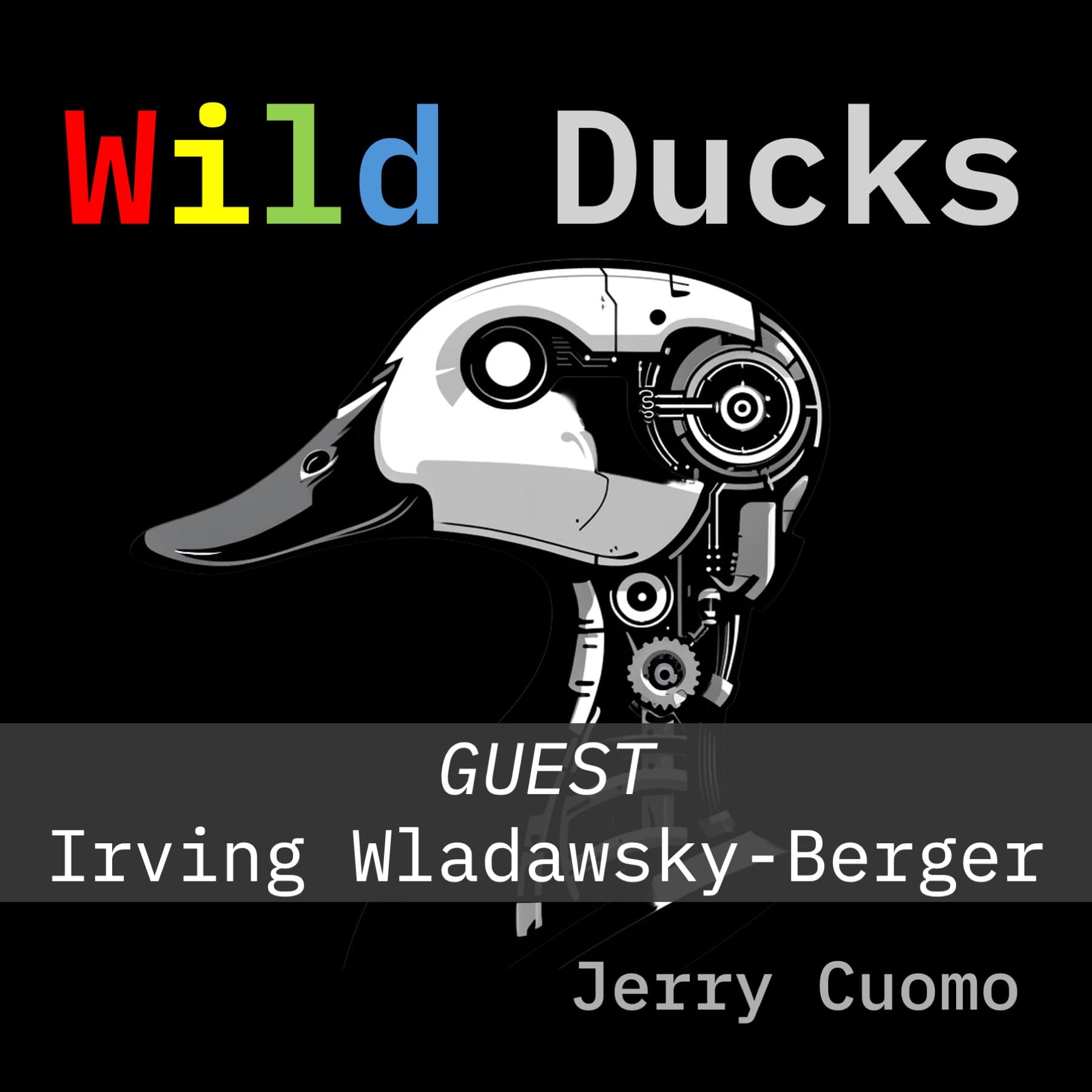 AI versus Internet - Part Two - Wild Ducks cover
