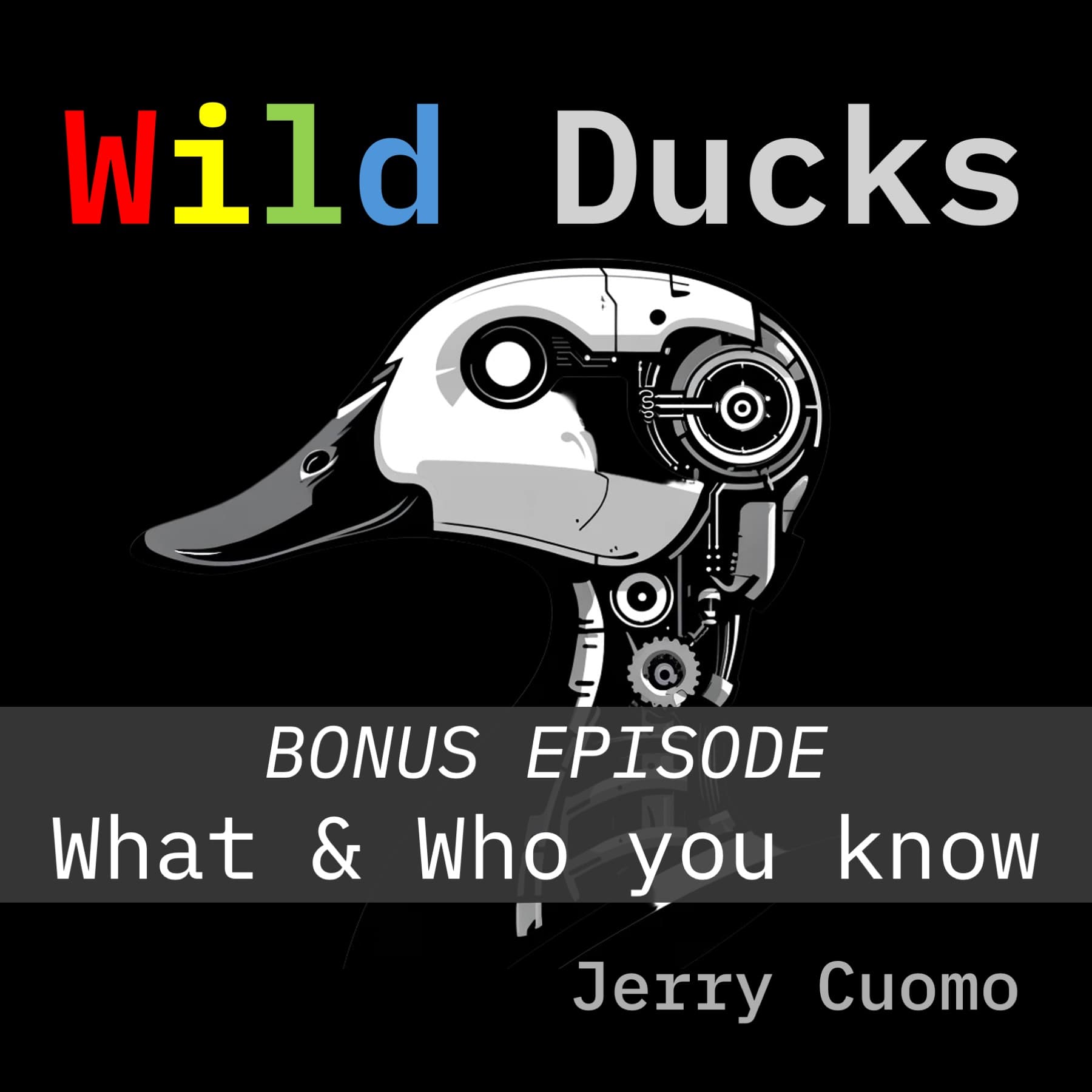 The Who & What You Know Formula - Wild Ducks cover