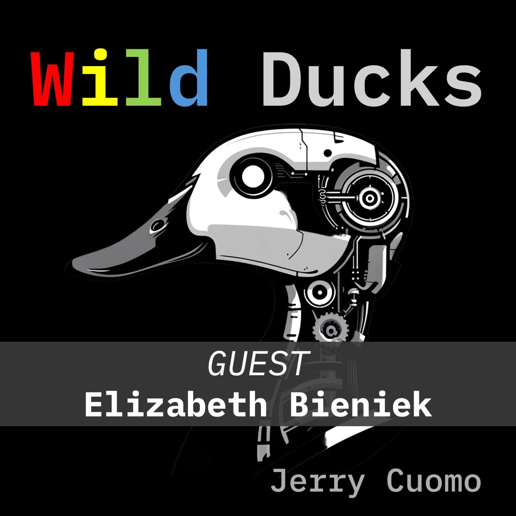 Cake on Tuesday - Wild Ducks cover