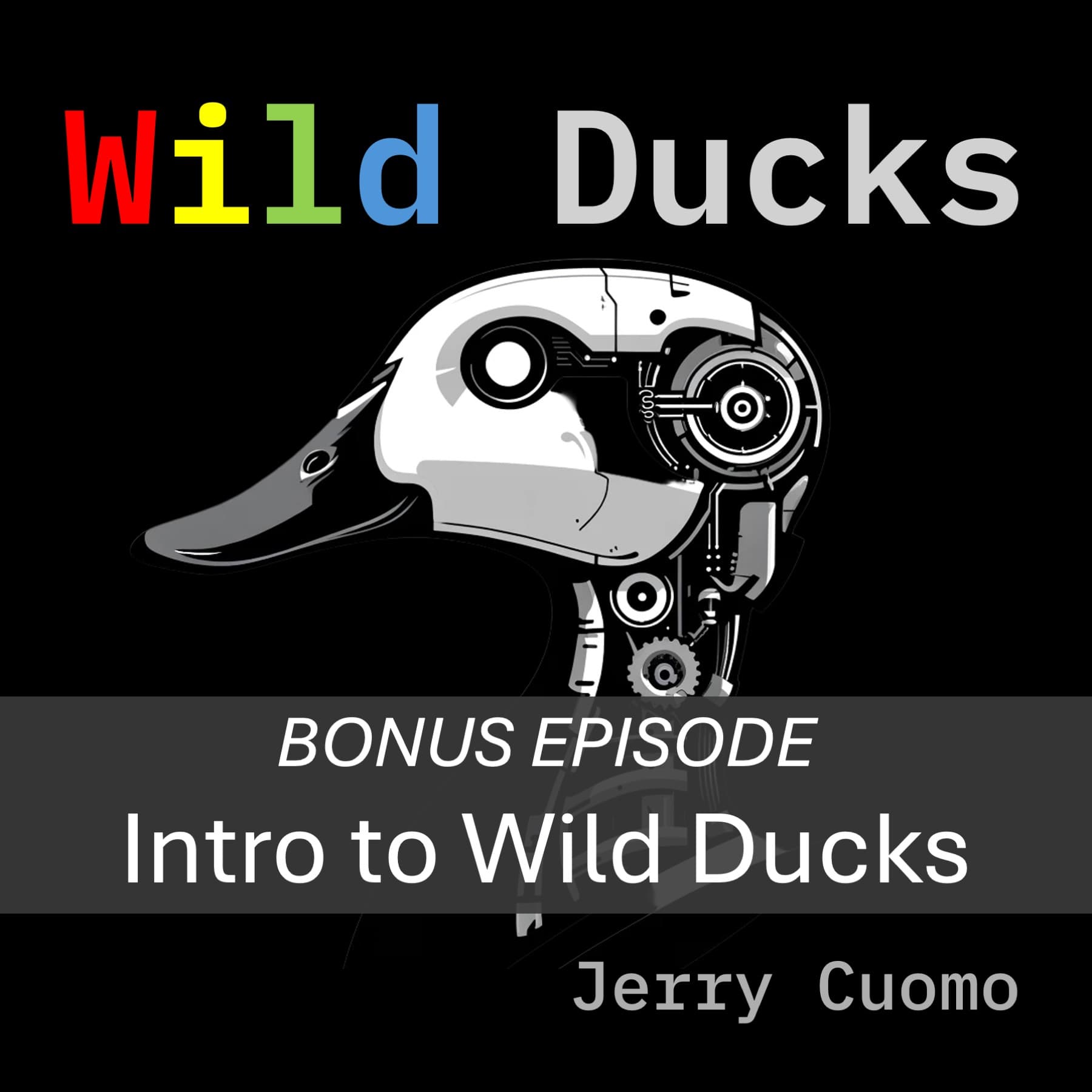 Welcome to Wild Ducks Podcast - Wild Ducks cover