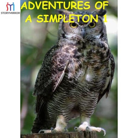 ADVENTURES OF A SIMPLETON 1 - English Story By Ravi S cover