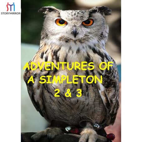 ADVENTURES OF A SIMPLETON 2 - English Story By Ravi S cover