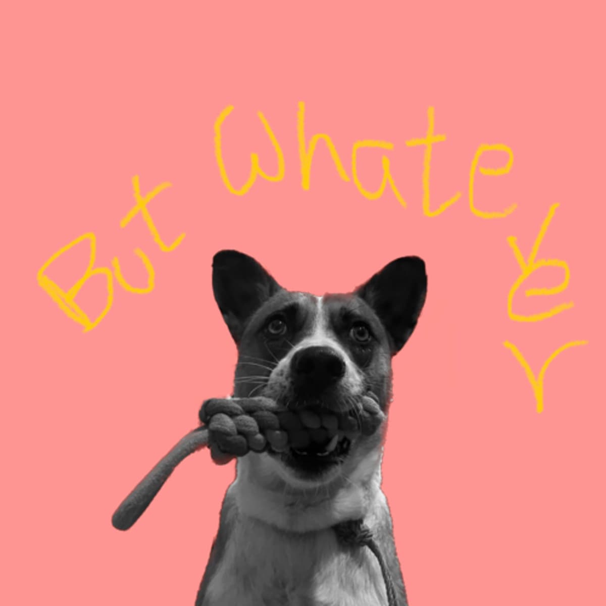 jagga j - But whatever cover