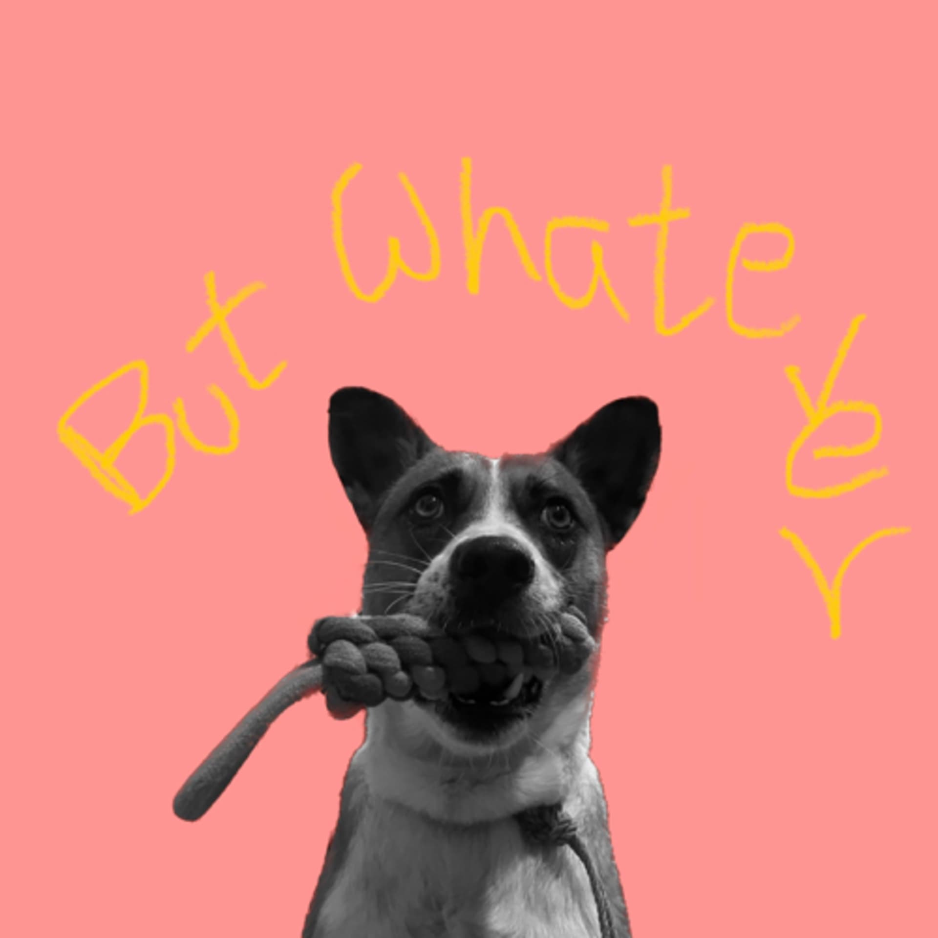 jagga j - But whatever cover