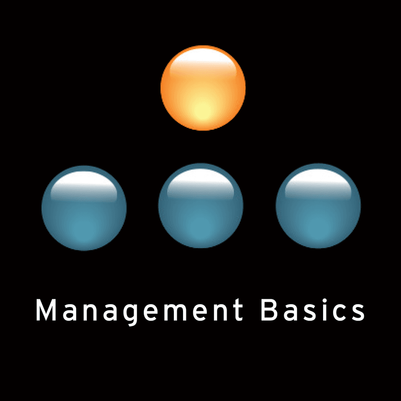 Manager Tools - Management Basics cover