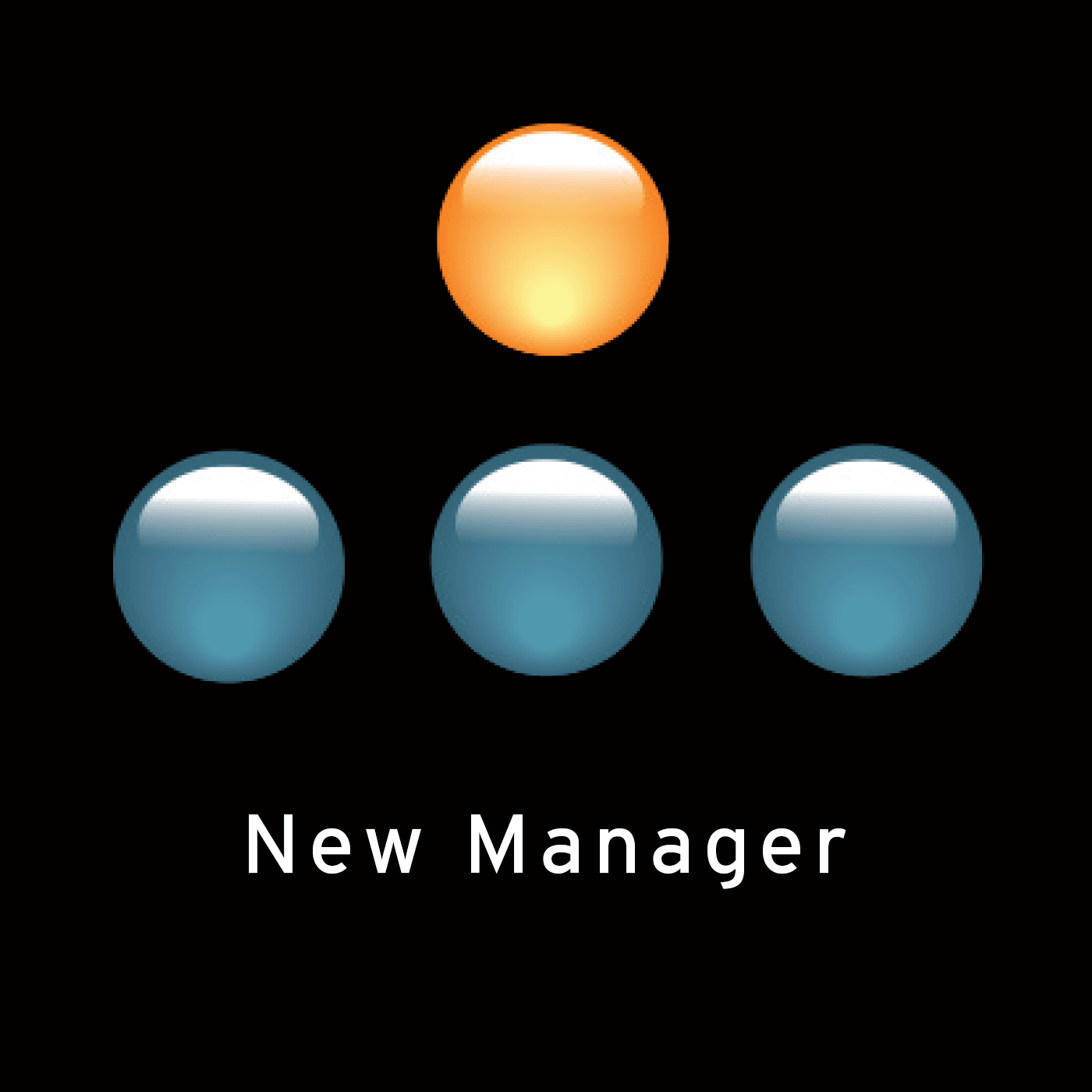 Manager Tools - New Managers cover
