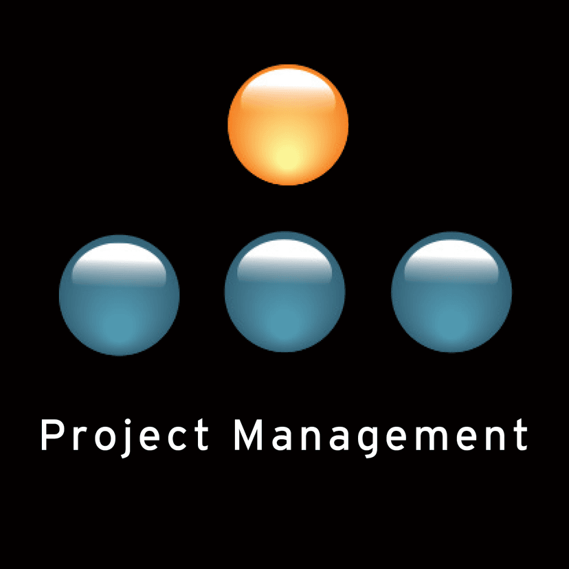 Manager Tools - Project Management cover