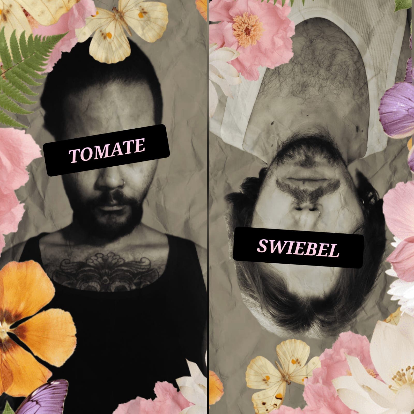 Tomate Swiebel cover