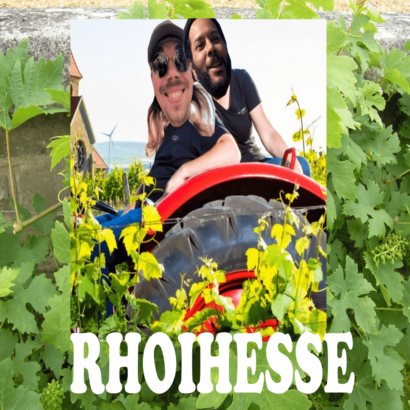 Rhoihesse - Tomate Swiebel cover